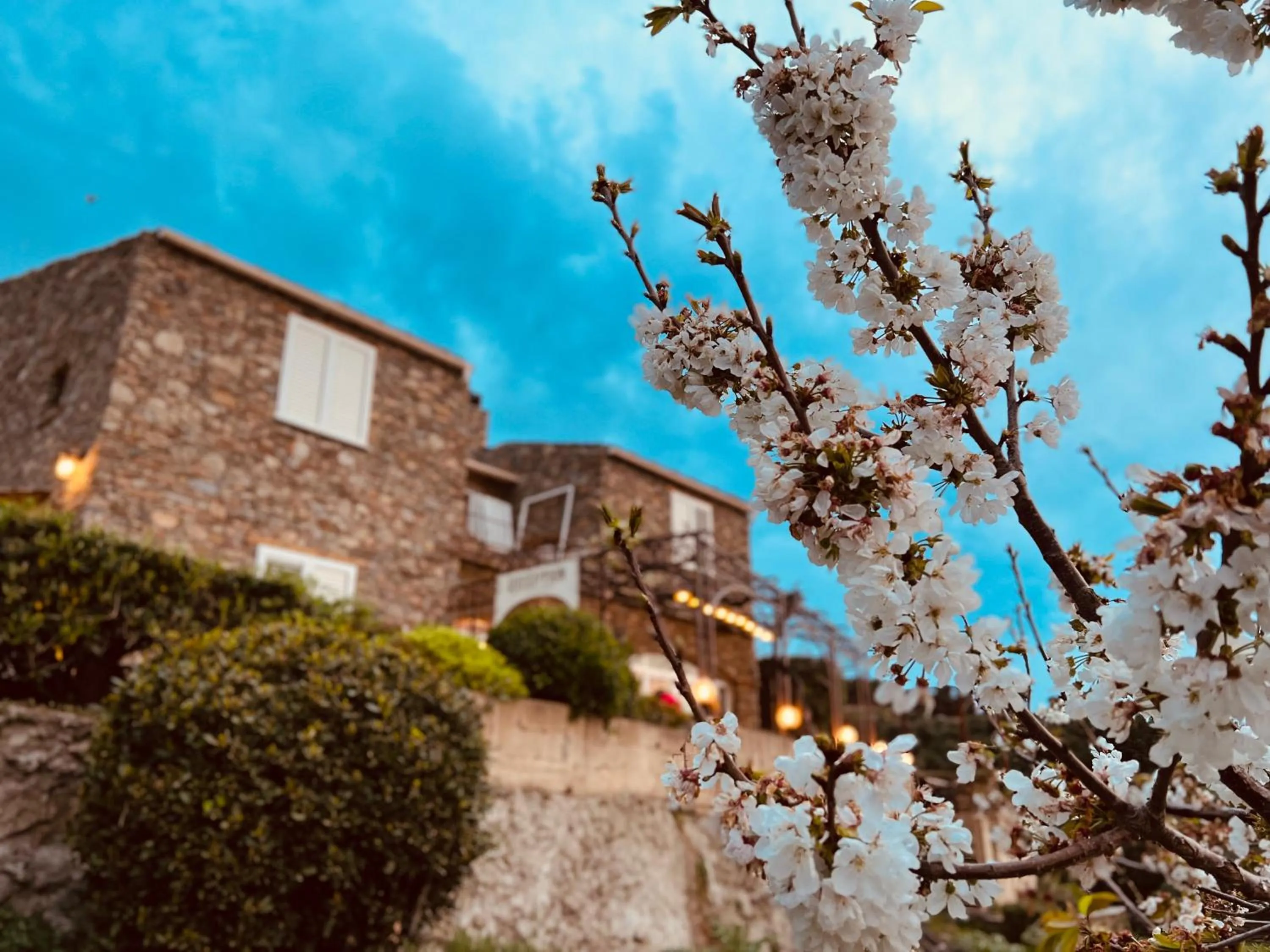 Property building in Casa di Babbo