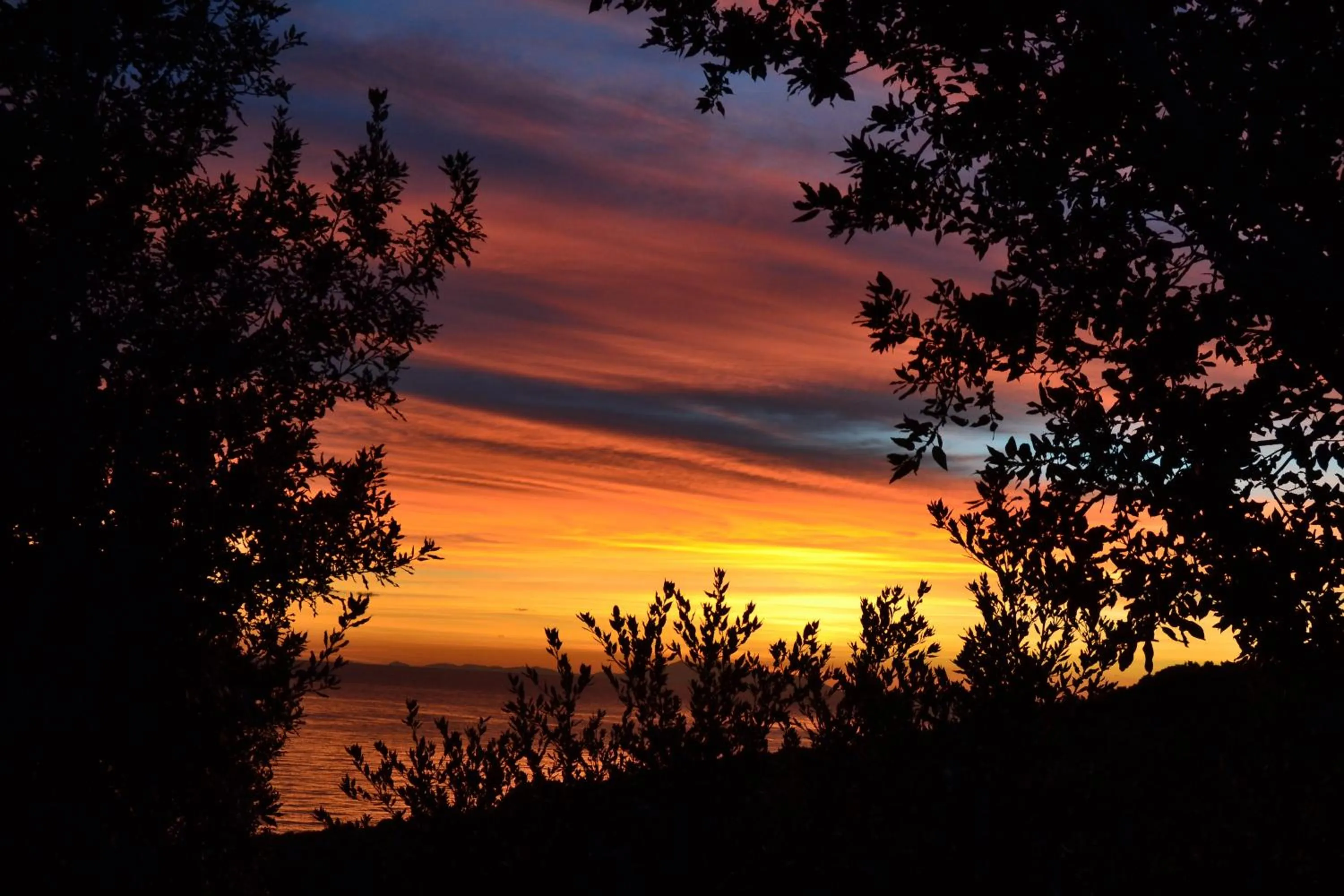 Area and facilities in Casa di Babbo