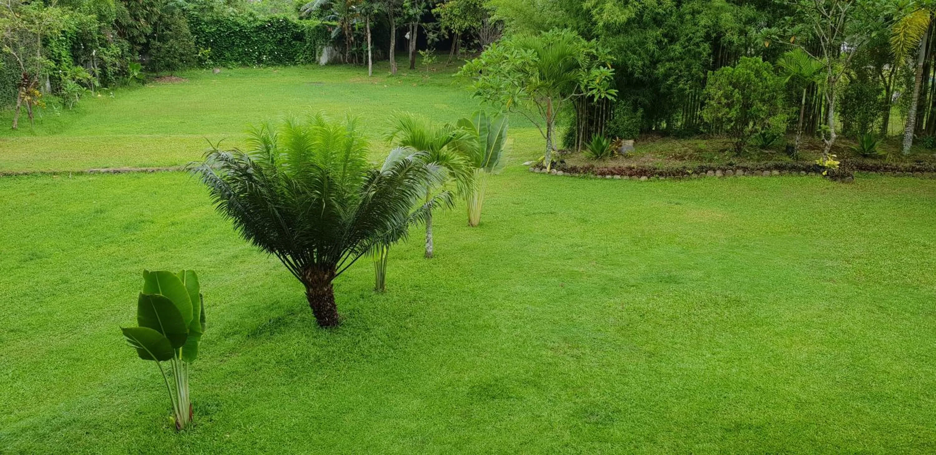 Borobudur Bed & Breakfast