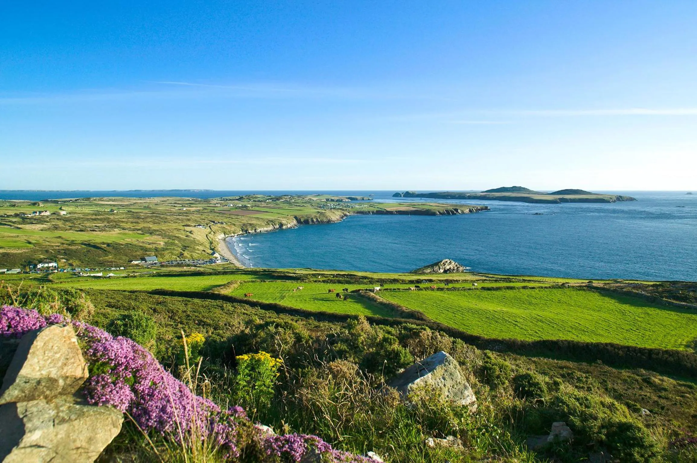 Natural landscape in Roch Castle