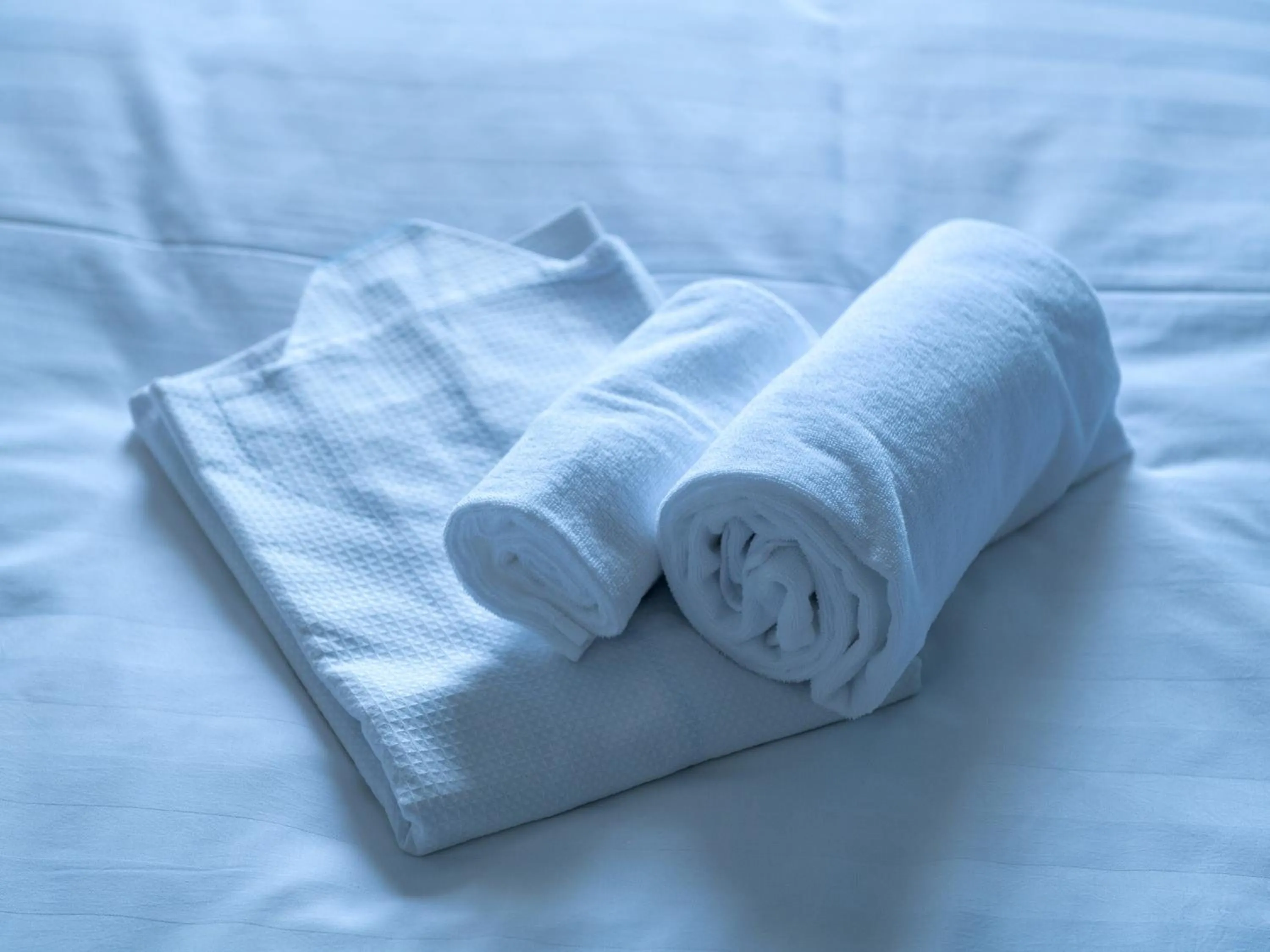 towels, Bed in EN HOTEL Hamamatsu