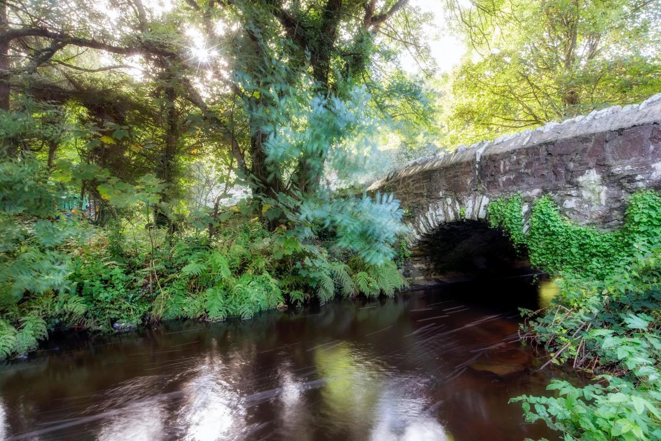 Natural landscape in Penrhiw Priory
