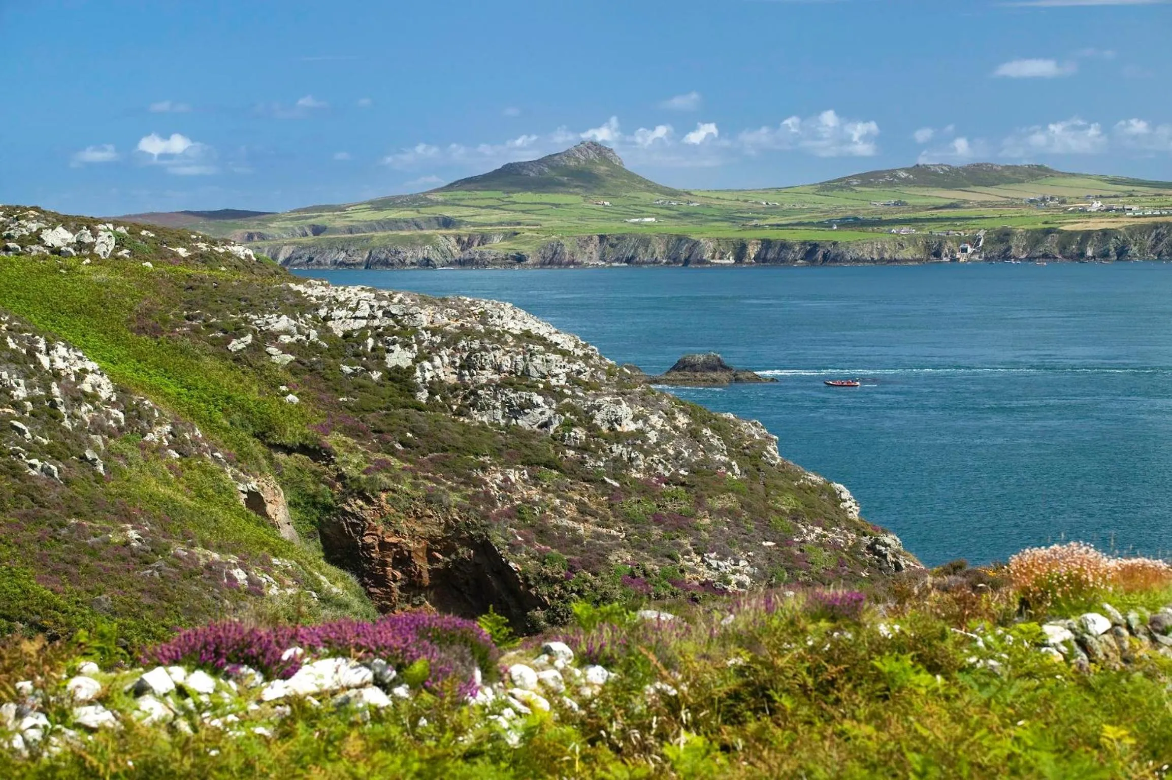 Natural landscape in Penrhiw Priory