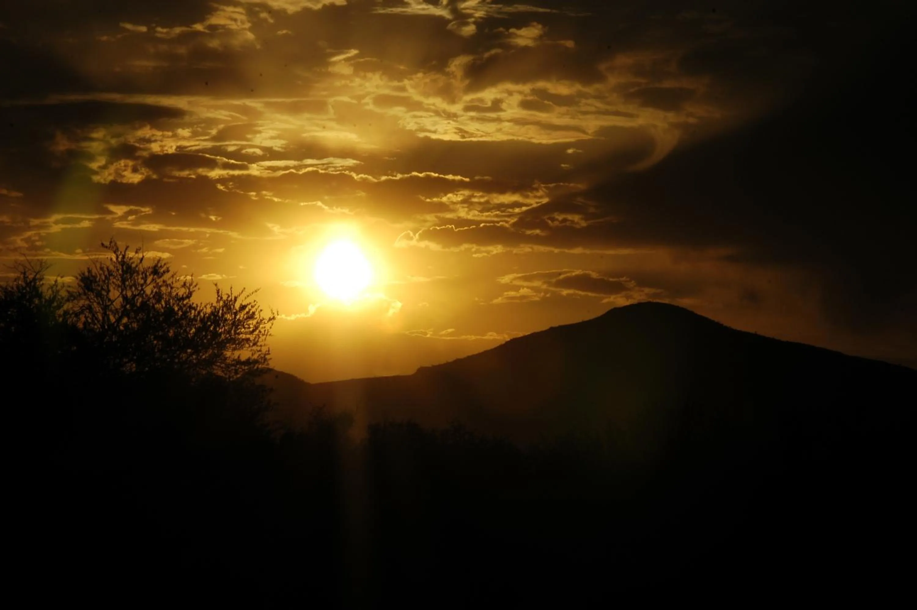 View (from property/room) in Arebbusch Travel Lodge
