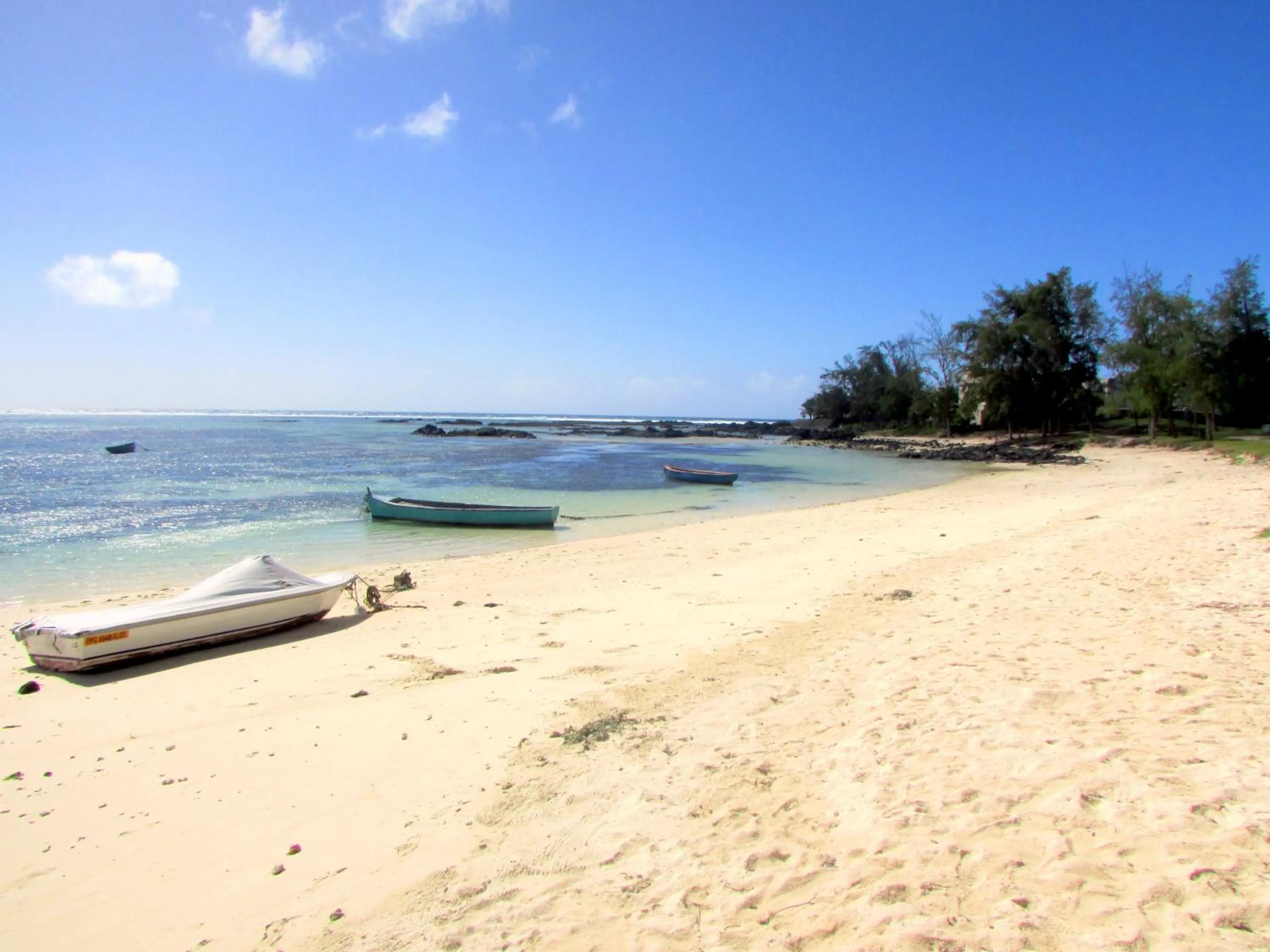 Winter in Golden Rod villa