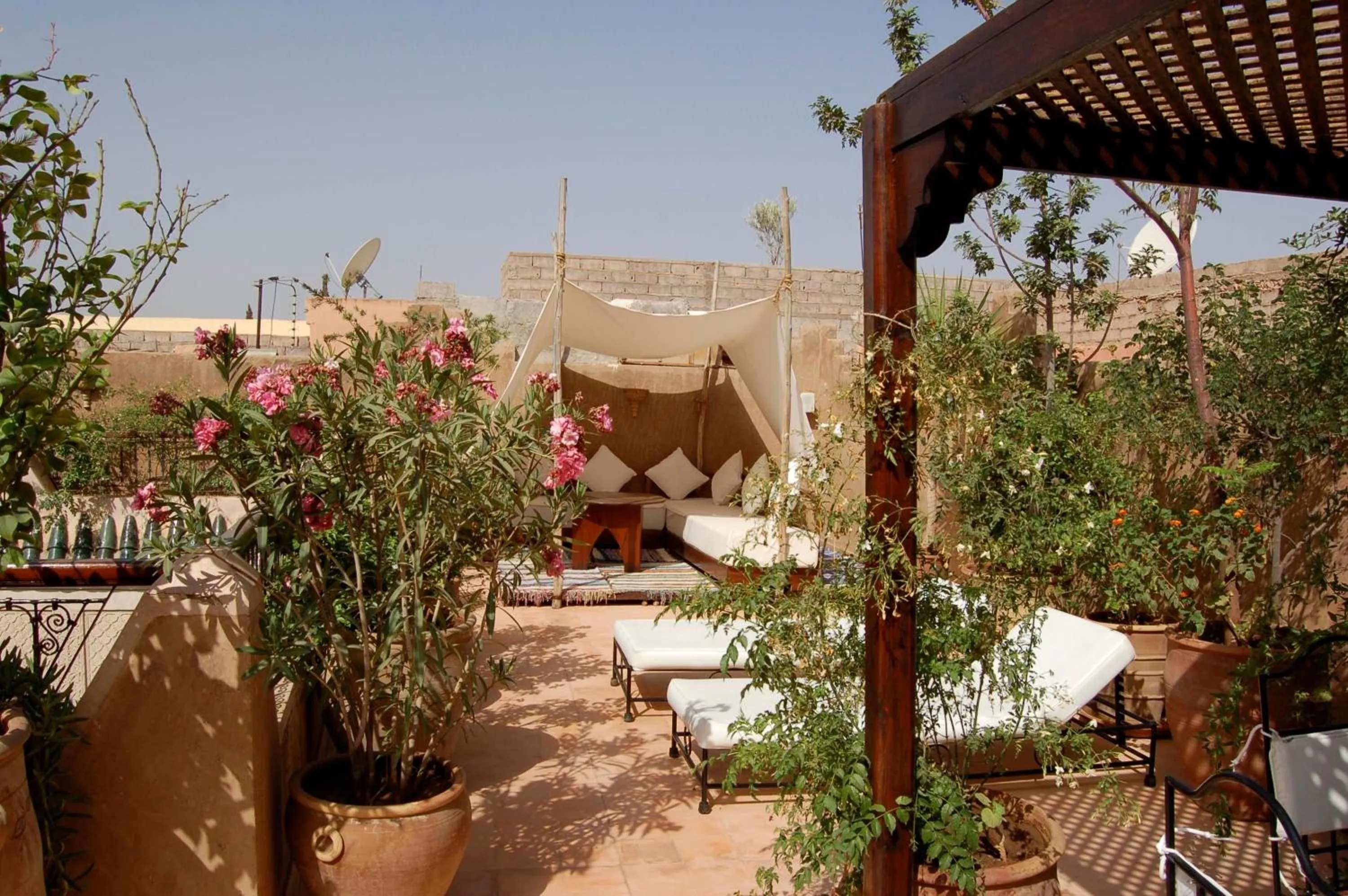 Balcony/Terrace in Riad Massiba