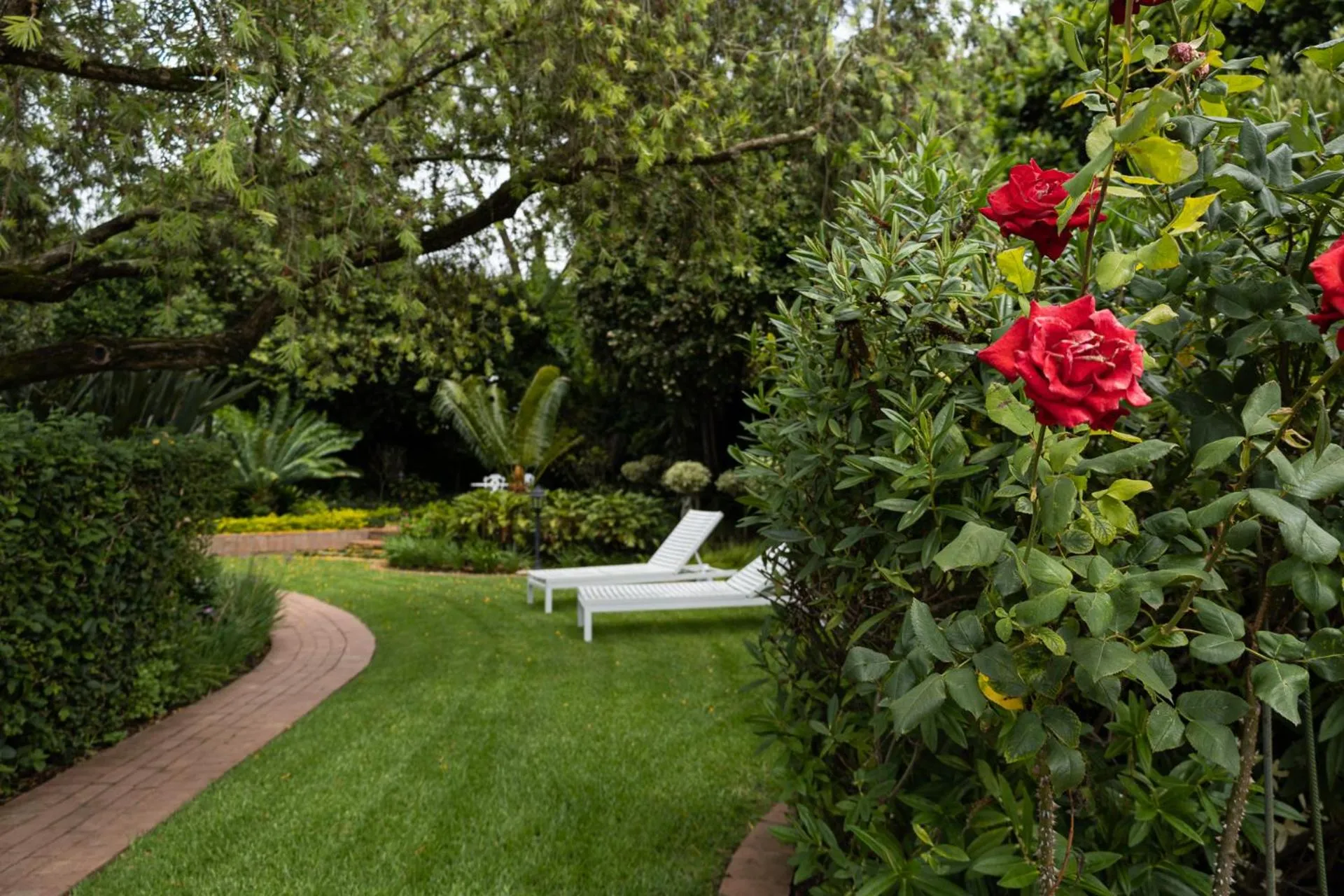 Garden in Cape Village Lodge