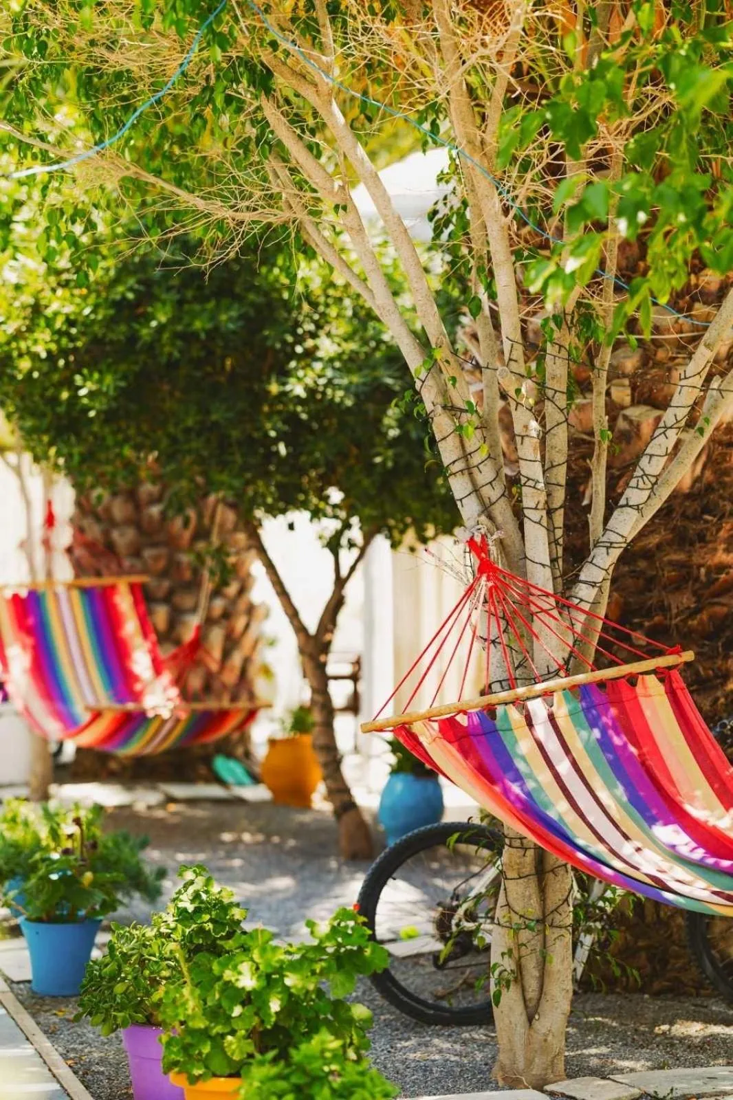 Garden in Gerani Studios