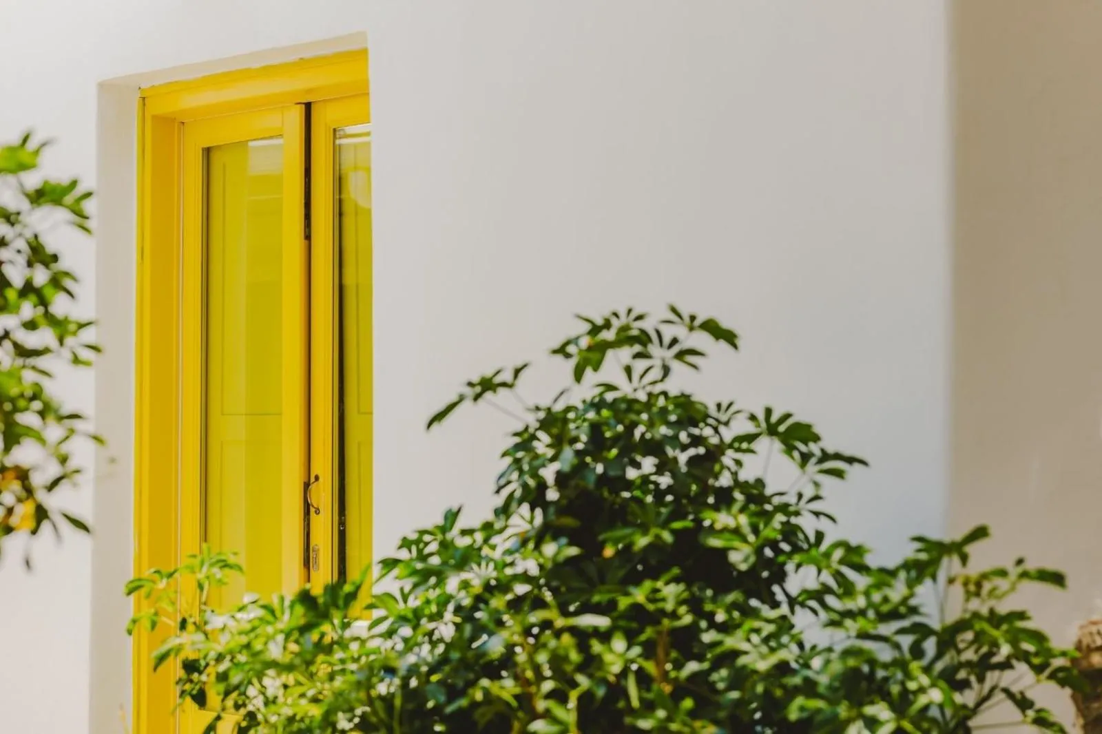 Garden view in Gerani Studios