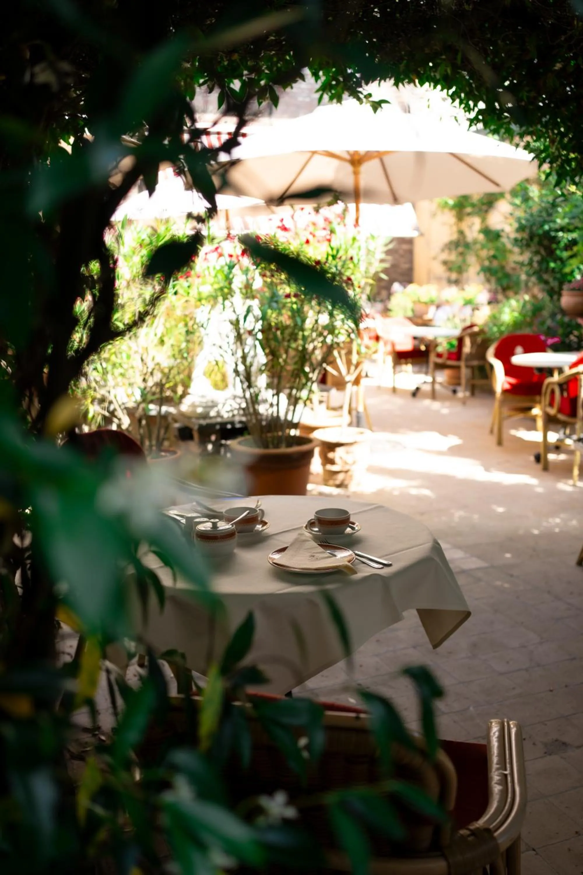 Garden in Hotel Botticelli