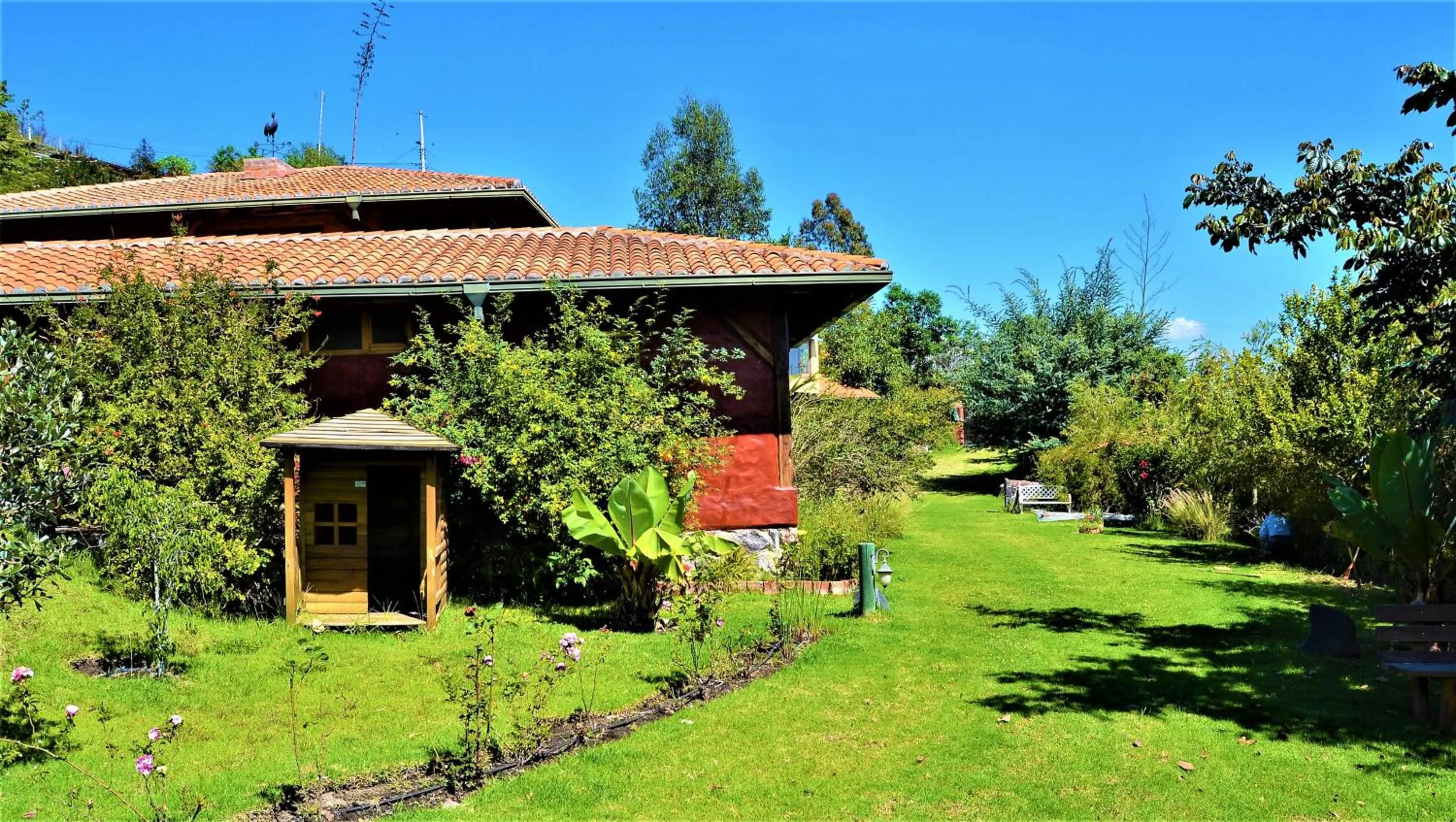 Garden in Ilatoa Lodge