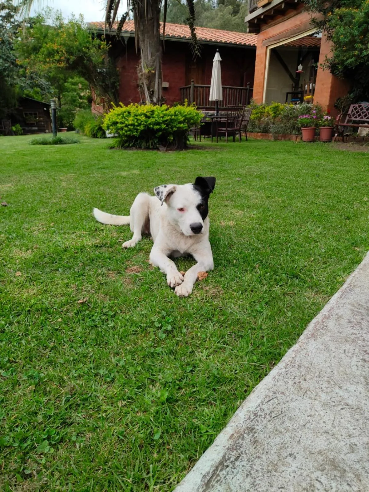 Garden in Ilatoa Lodge