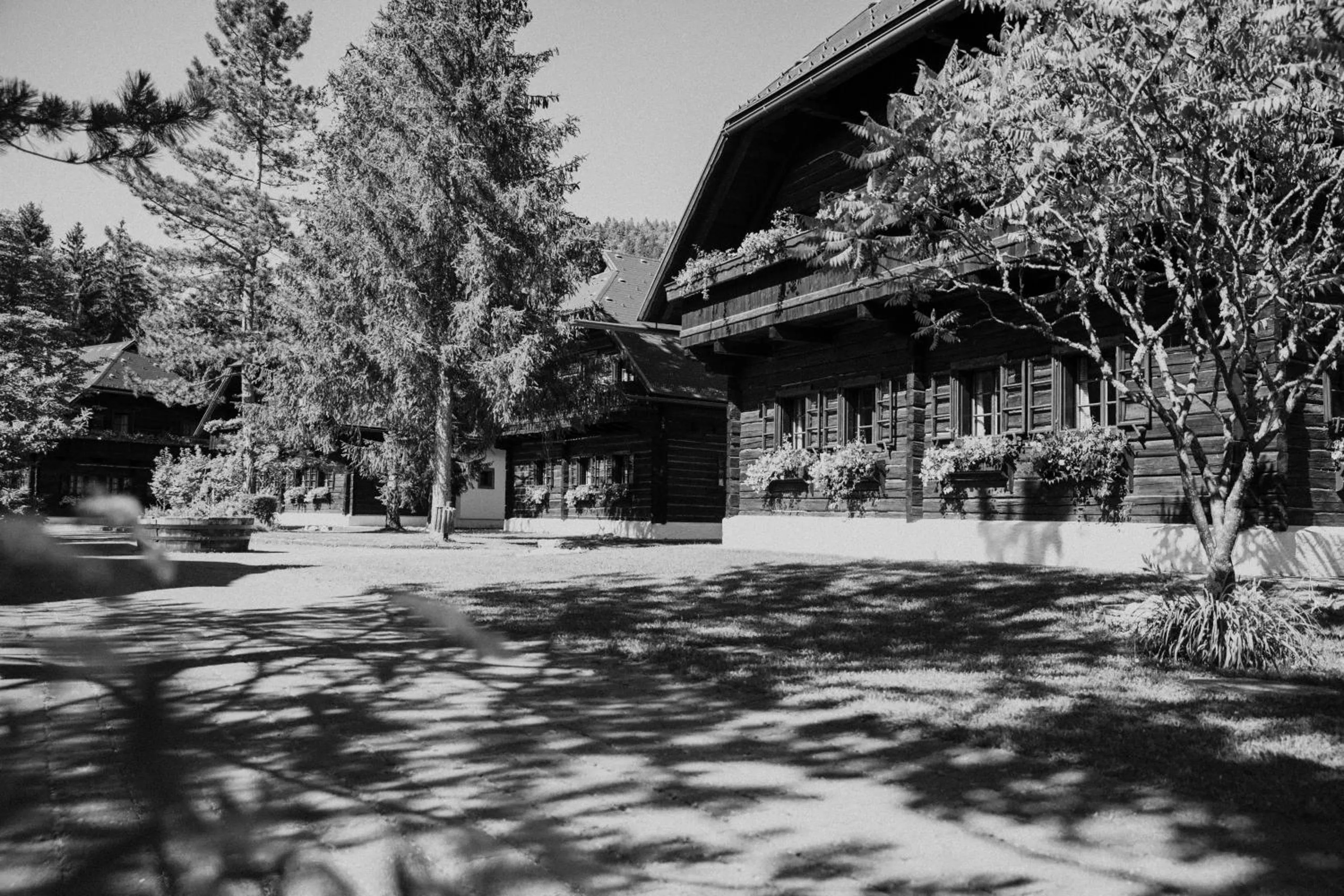 Natural landscape in Naturel Hoteldorf Seeleitn
