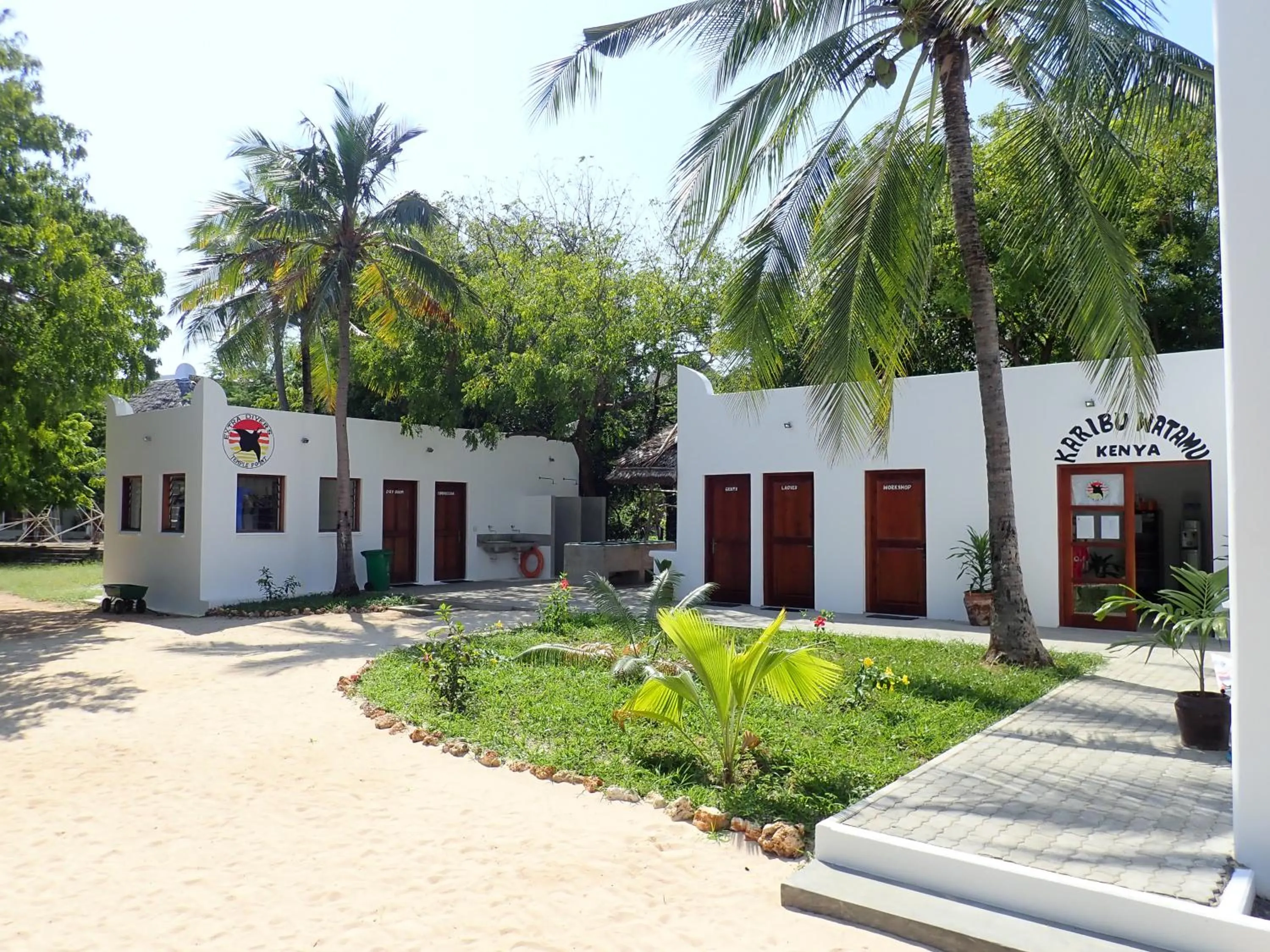 Diving in Temple Point Resort