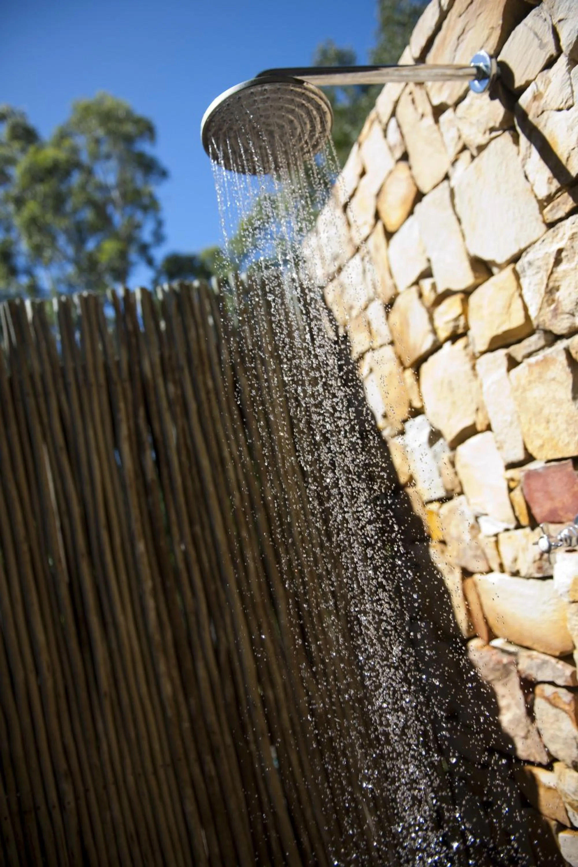 Other in Tamodi Lodge