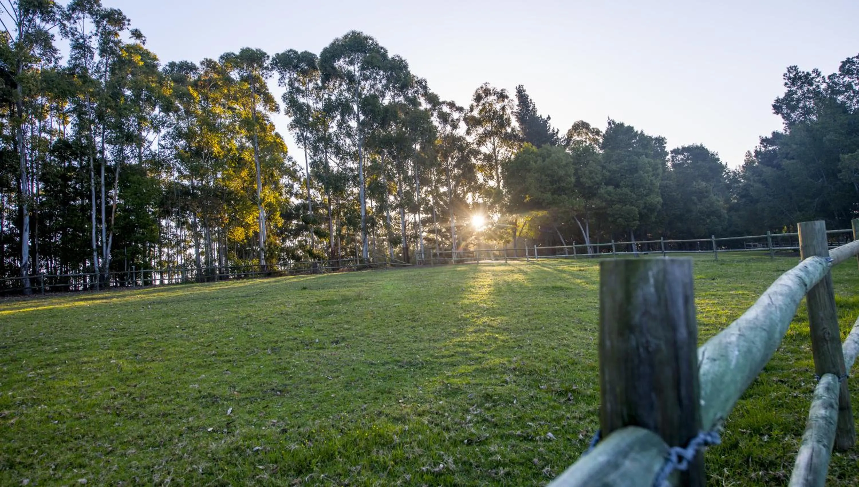 Garden in Tamodi Lodge