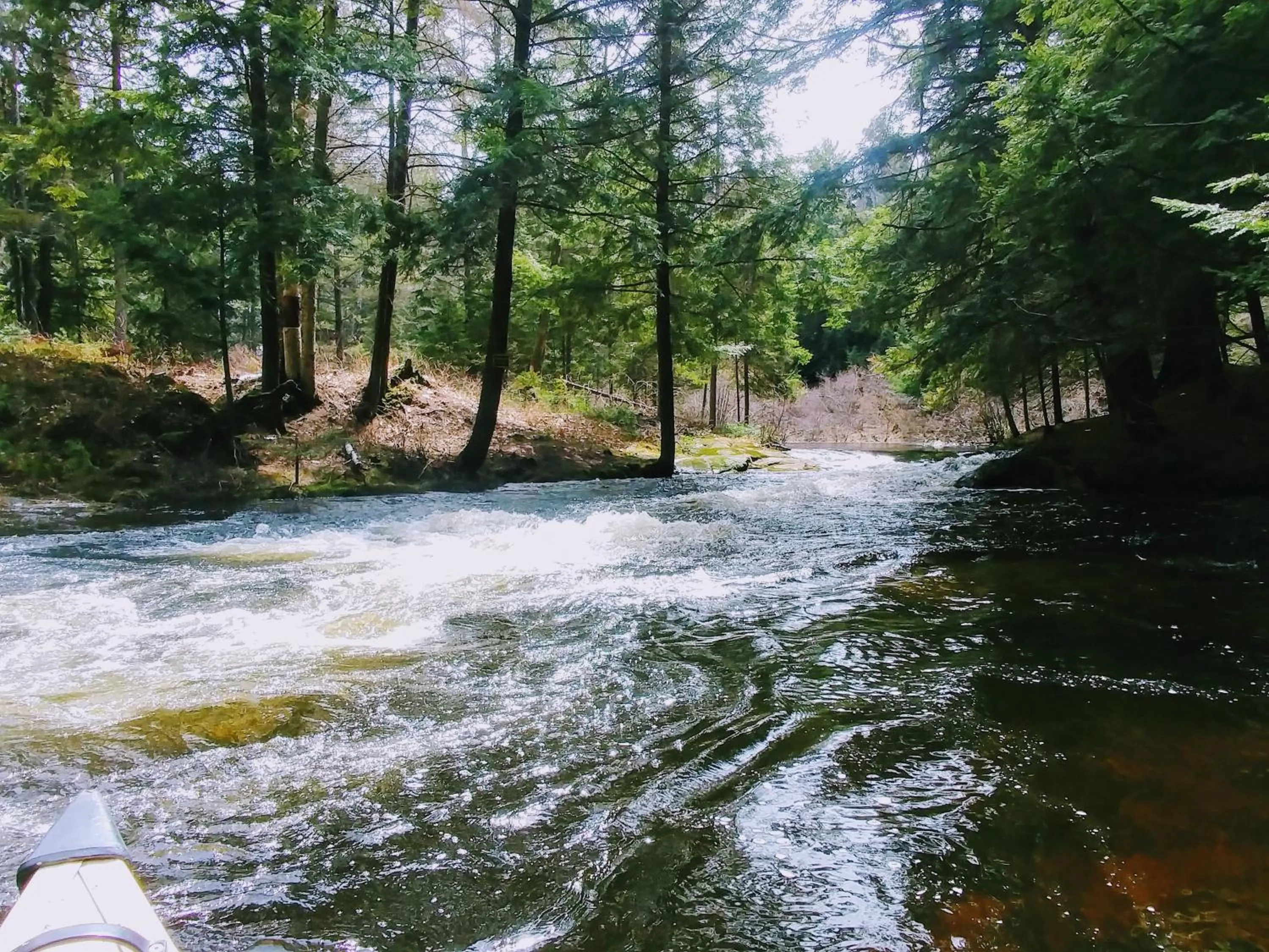 Fishing in Dwight Riverside Inn