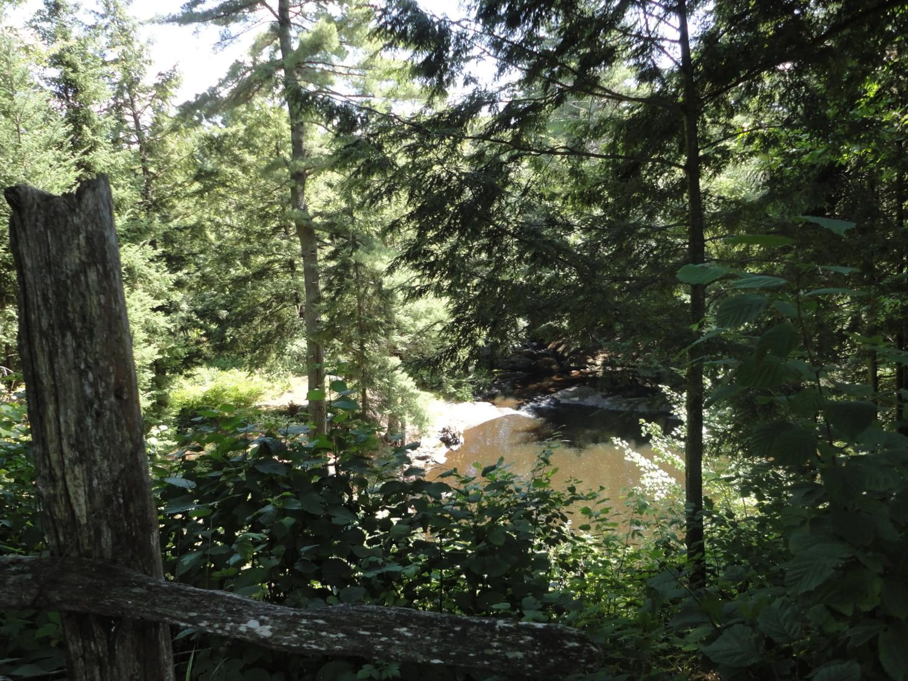 Garden in Dwight Riverside Inn