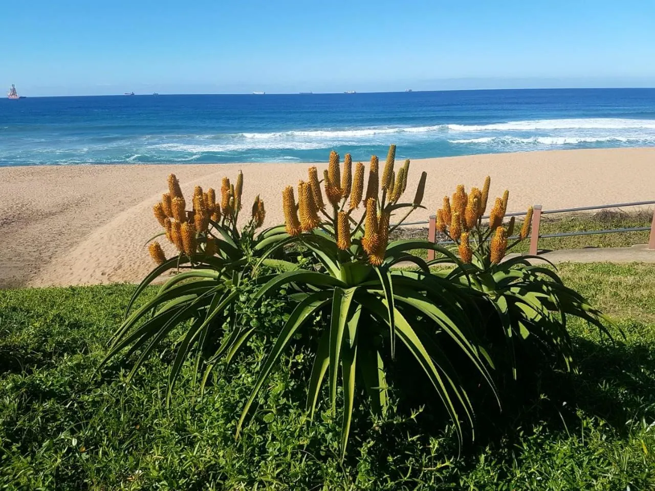 Beach in Hillside Guesthouse Umhlanga
