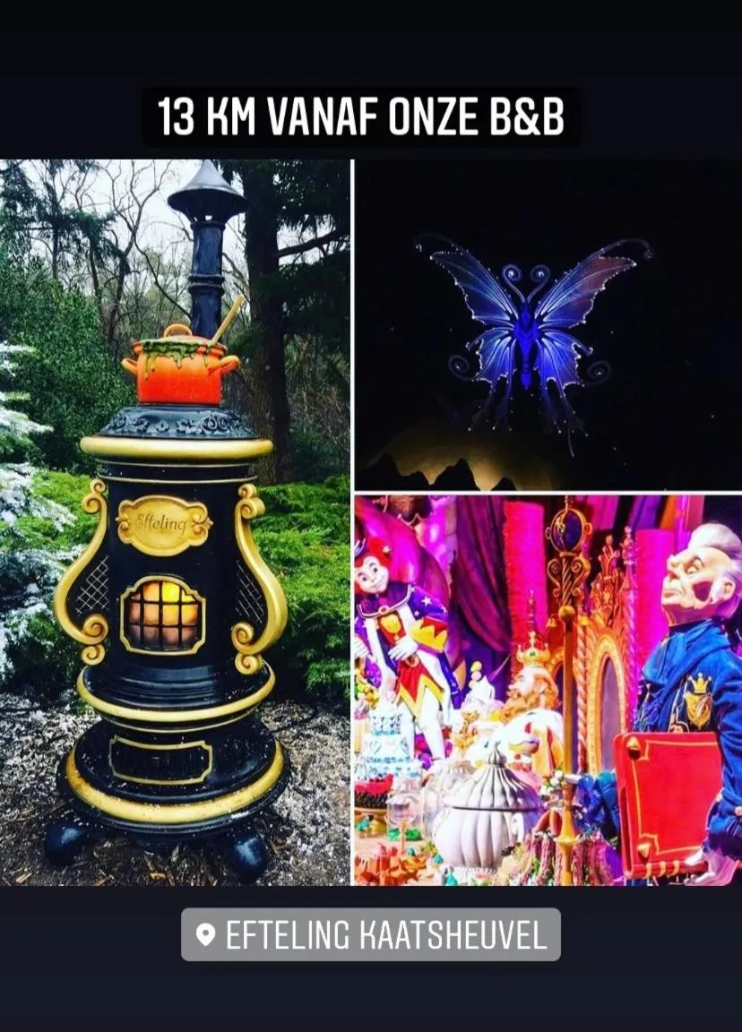 Activities in Bed and Breakfast: 'Bij ons Achter'