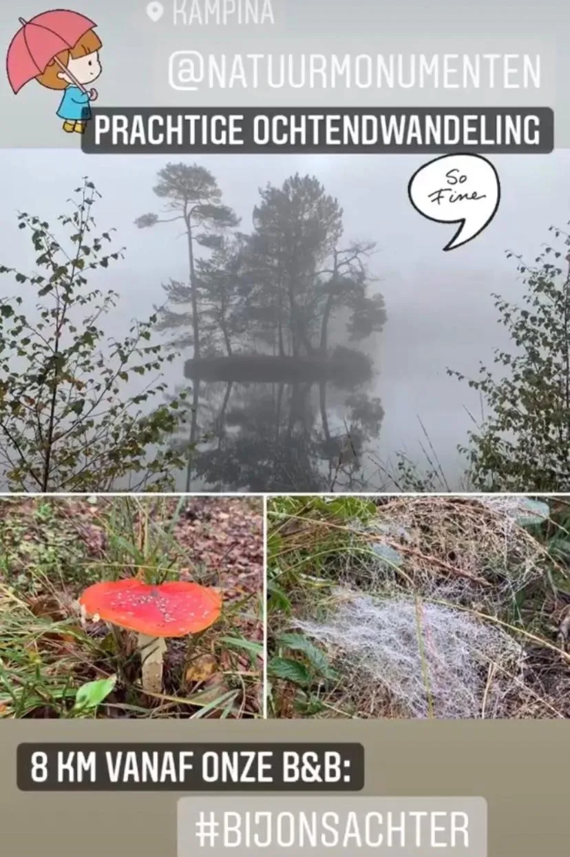 Natural landscape in Bed and Breakfast: 'Bij ons Achter'