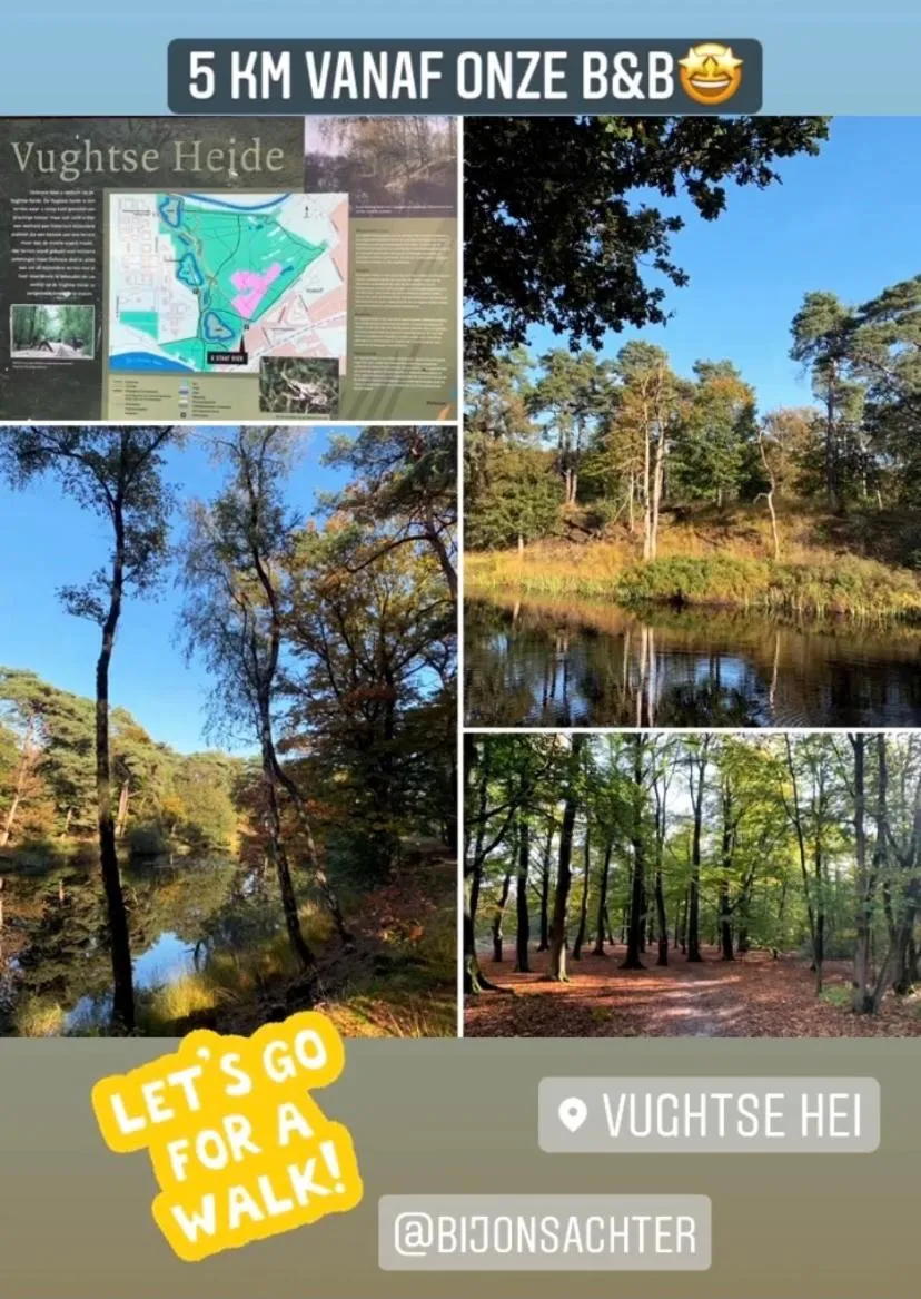 Natural landscape in Bed and Breakfast: 'Bij ons Achter'