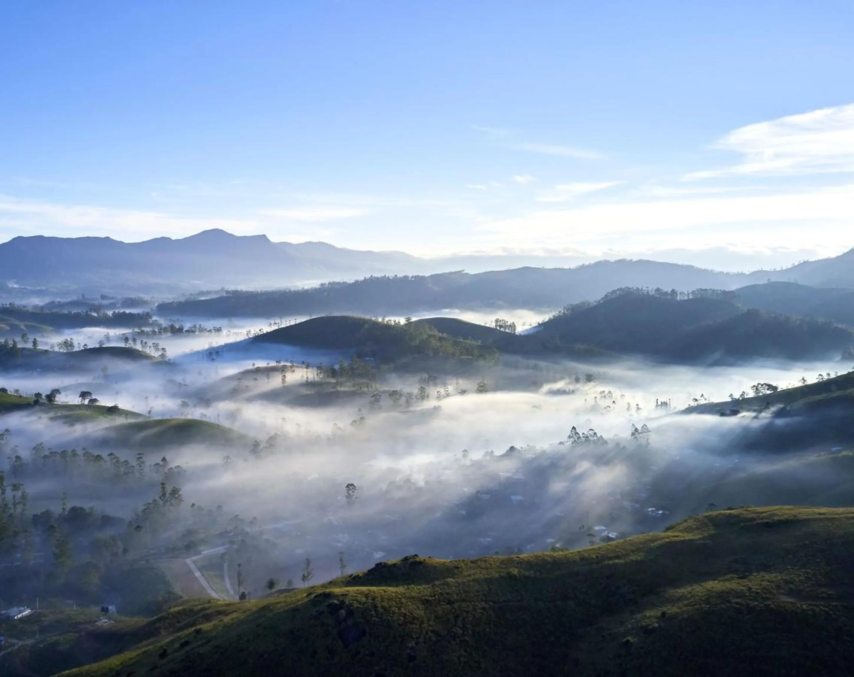 Natural landscape in The Argyle Luxury Boutique
