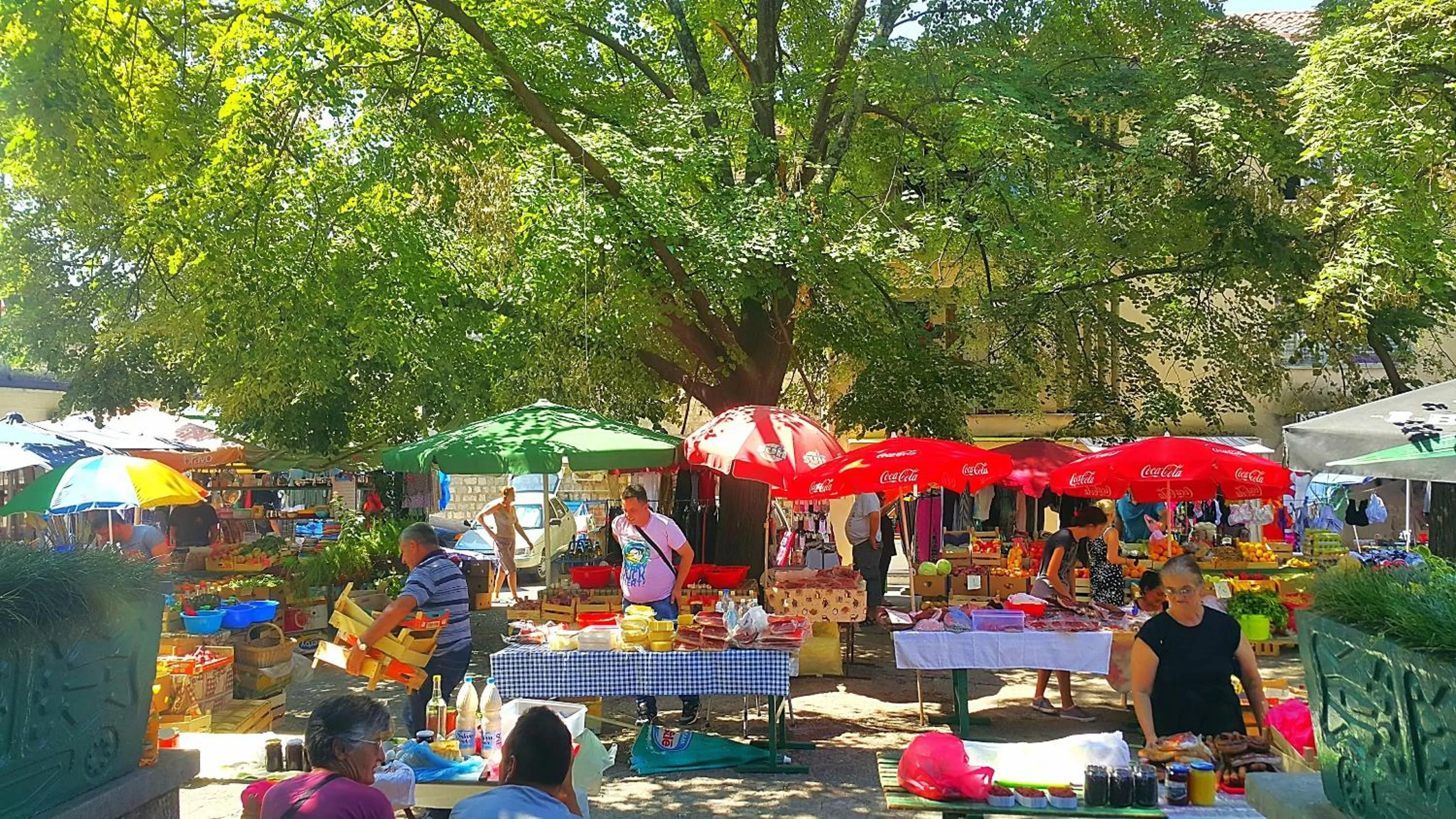 Shopping Area in Apartment Mint&Rose