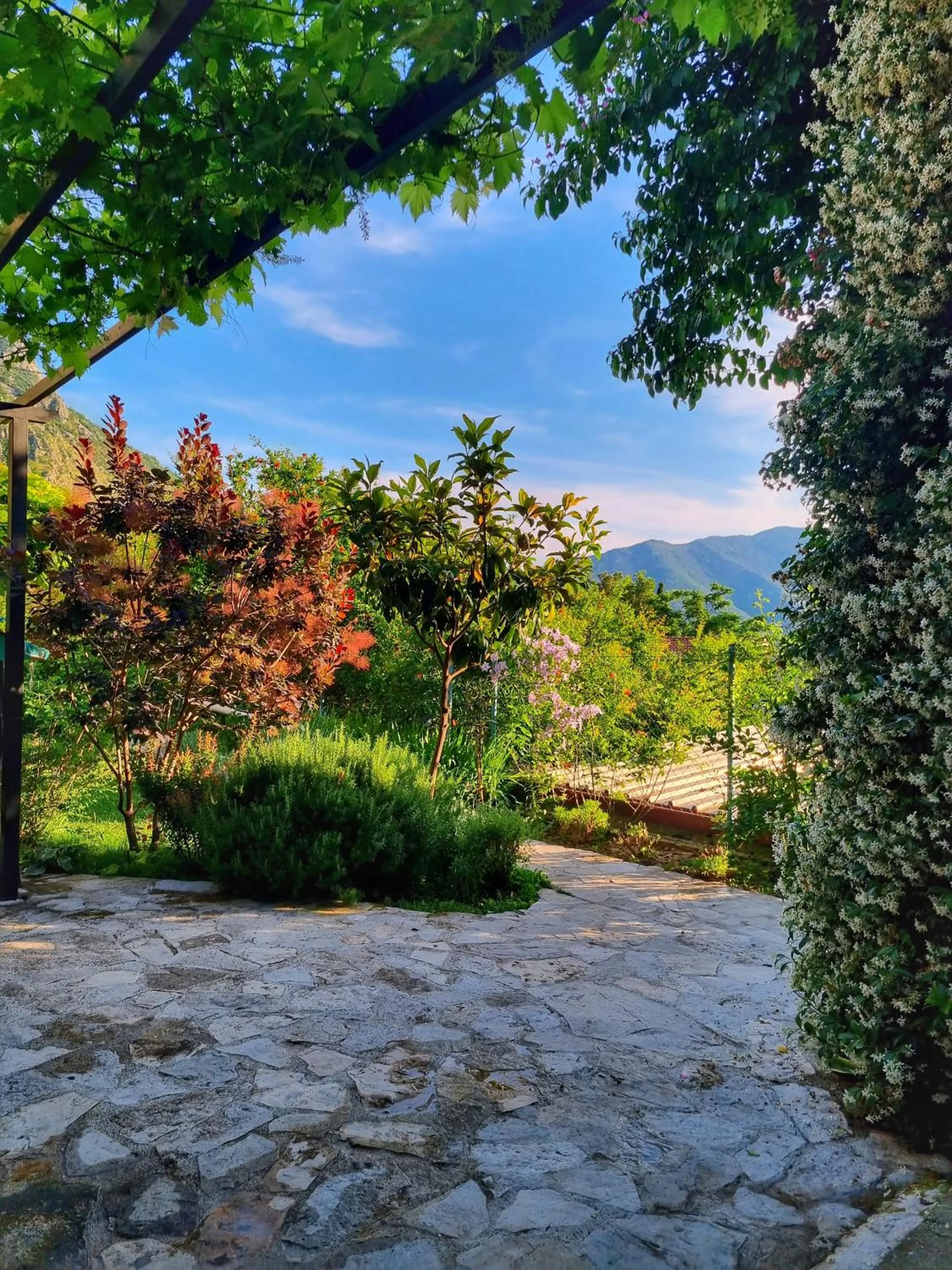 Garden in Apartment Mint&Rose