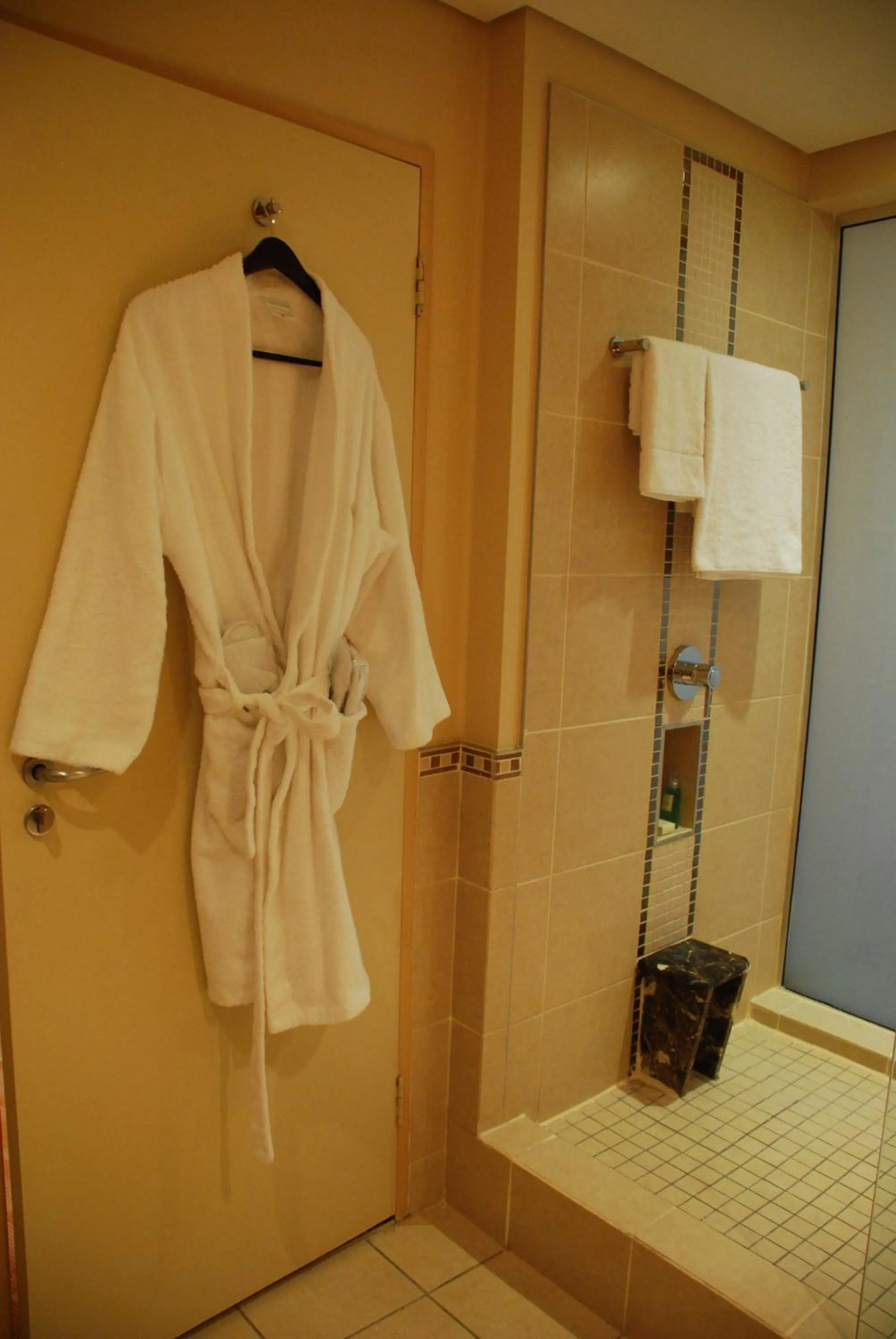 Bathroom in Southern Sun OR Tambo International Airport