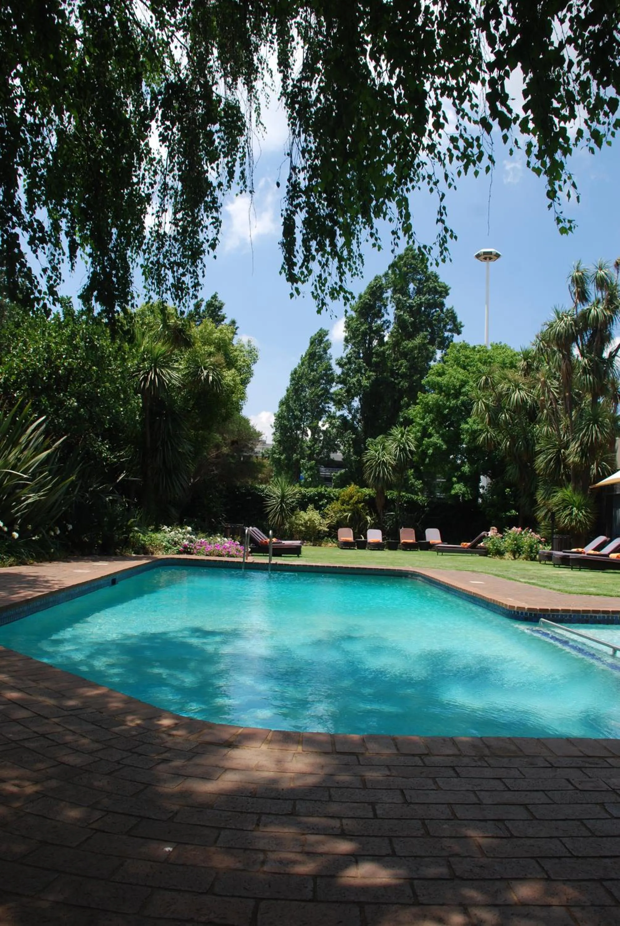 Swimming pool in Southern Sun OR Tambo International Airport