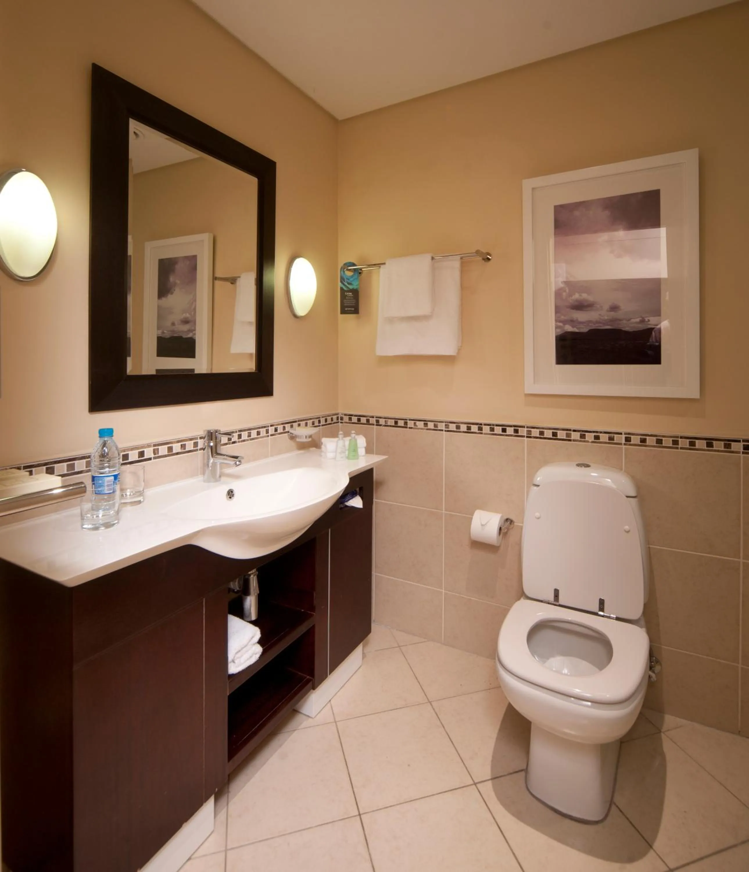 Bathroom in Southern Sun OR Tambo International Airport