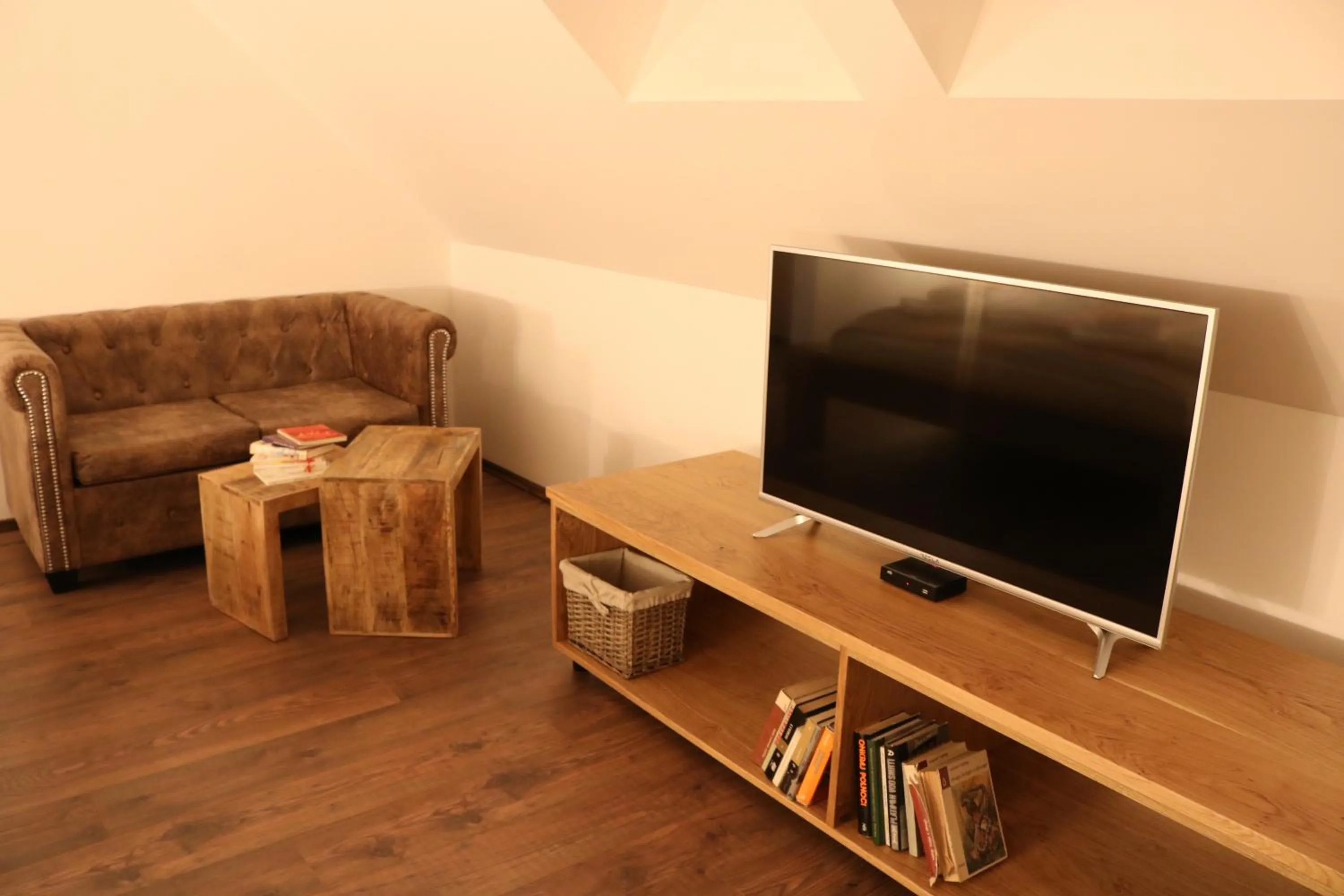 TV and multimedia in Gorska Reka Guesthouse