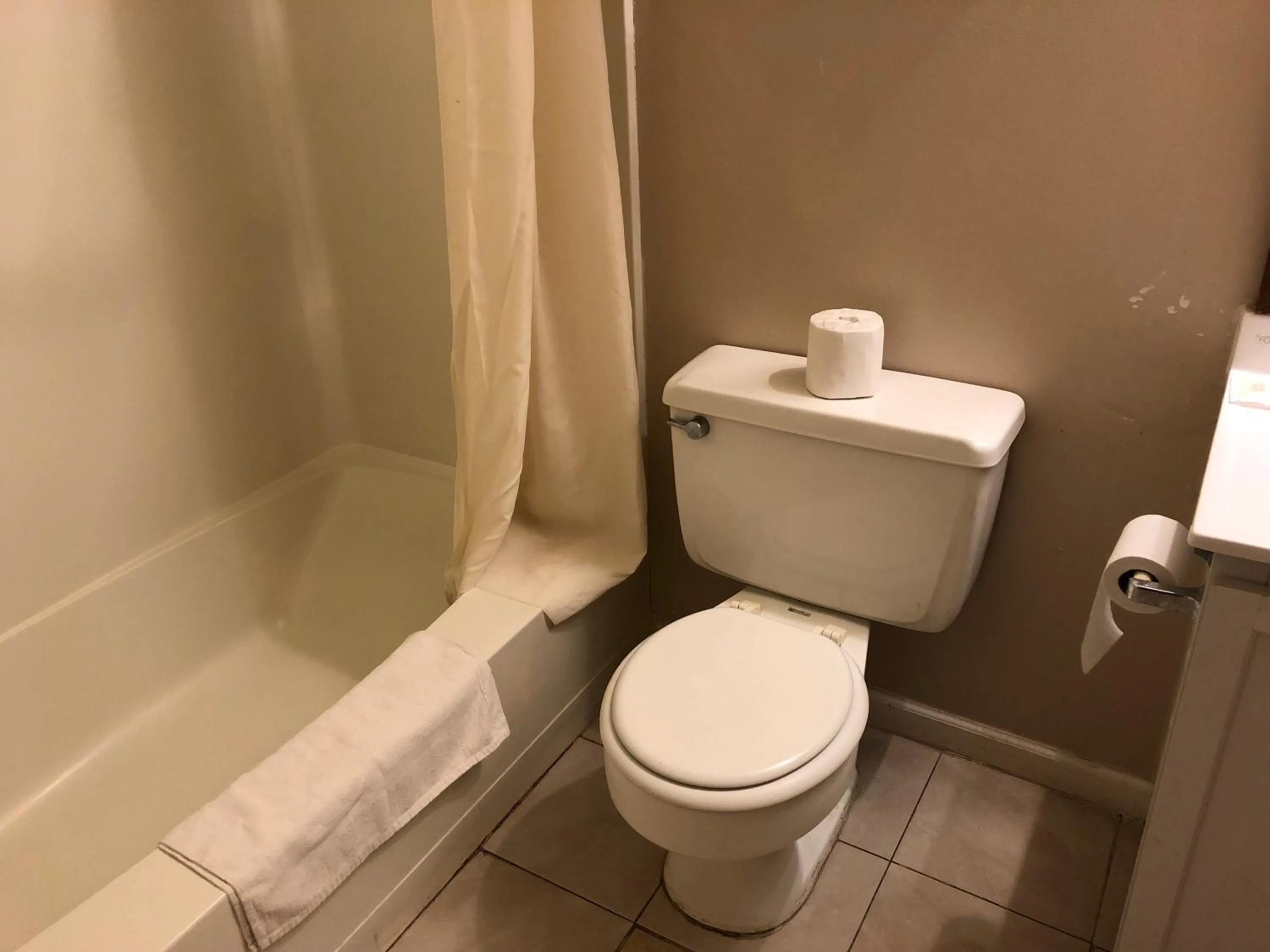 Toilet in Village Inn Motel Holt