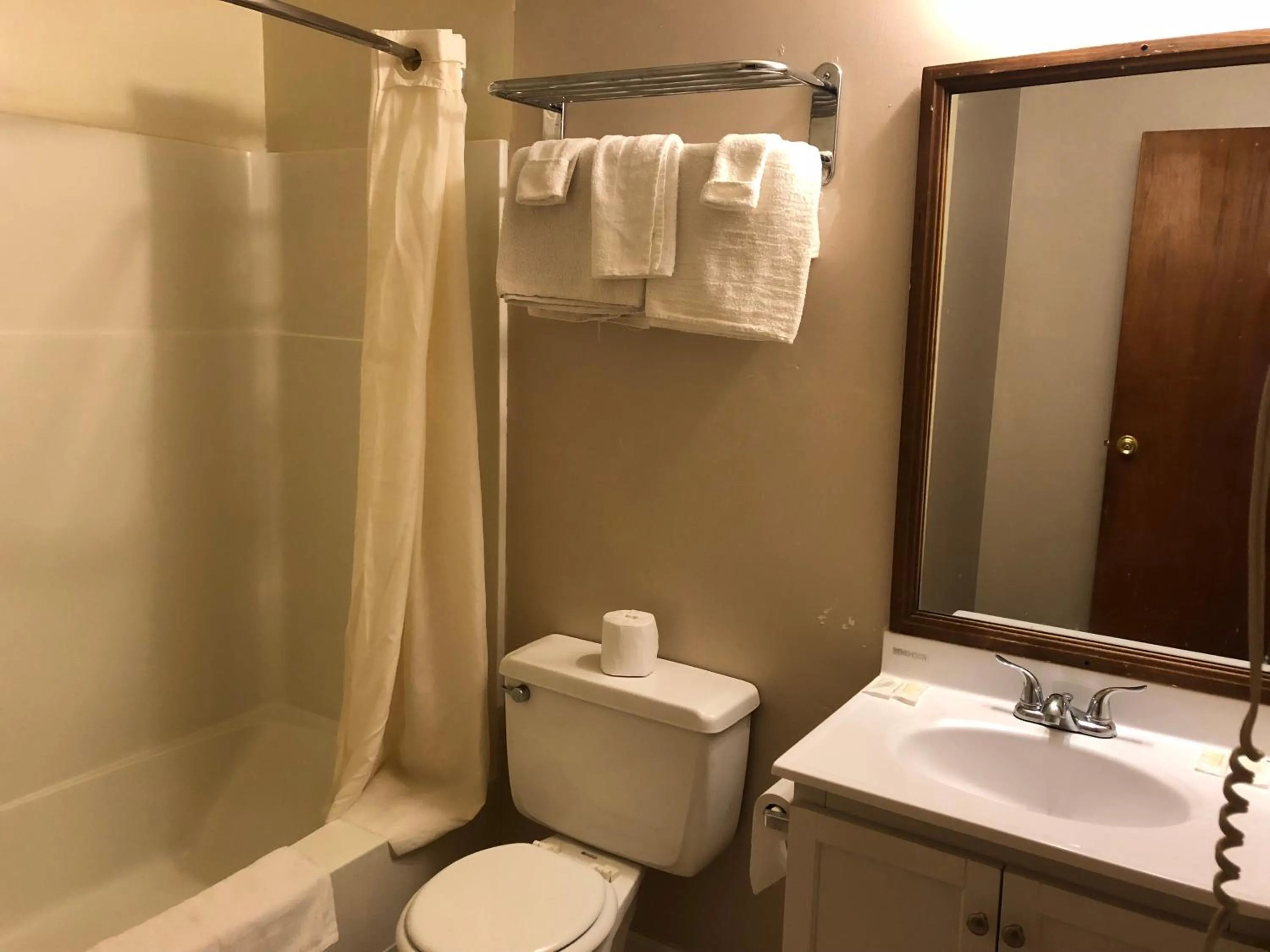 Toilet in Village Inn Motel Holt