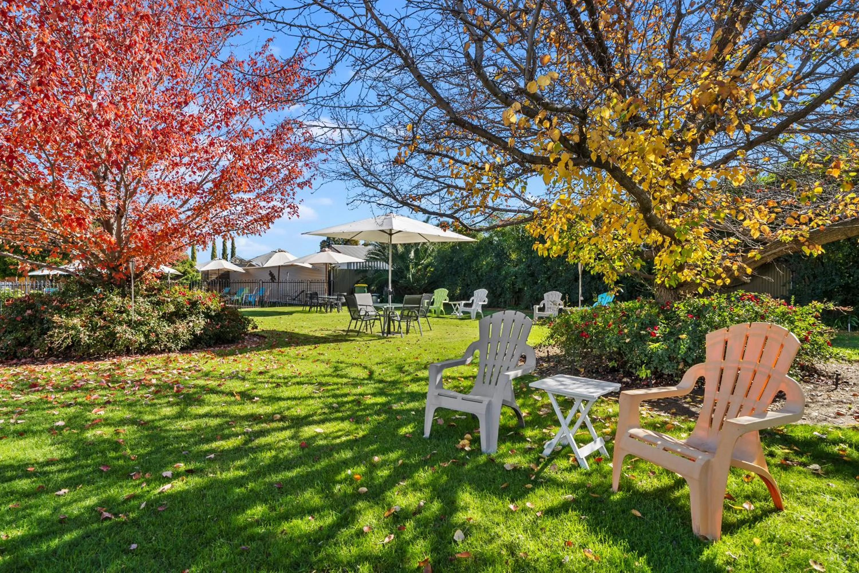 Garden in Heritage Motor Inn Corowa