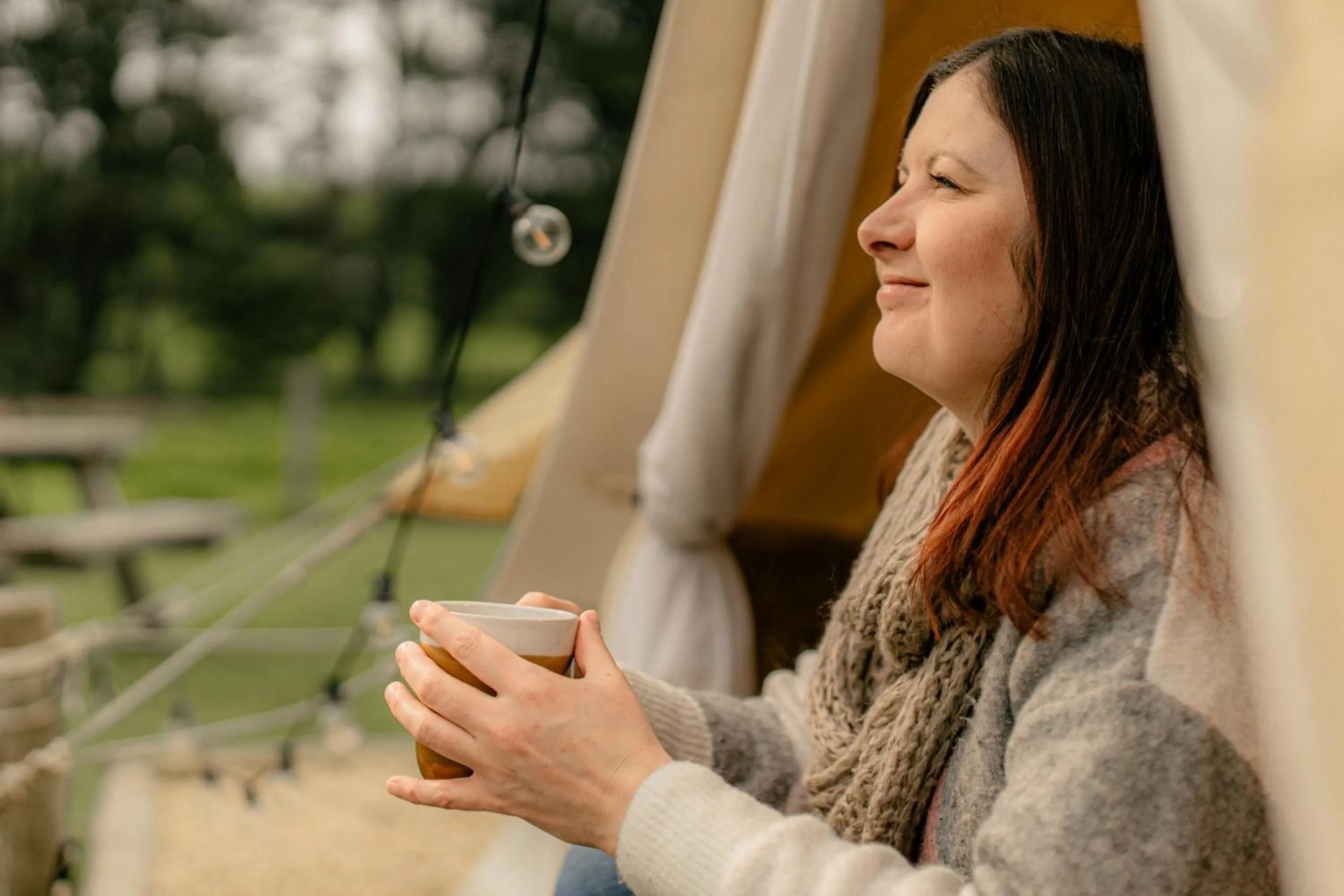View (from property/room) in Pine Country Caravan Park