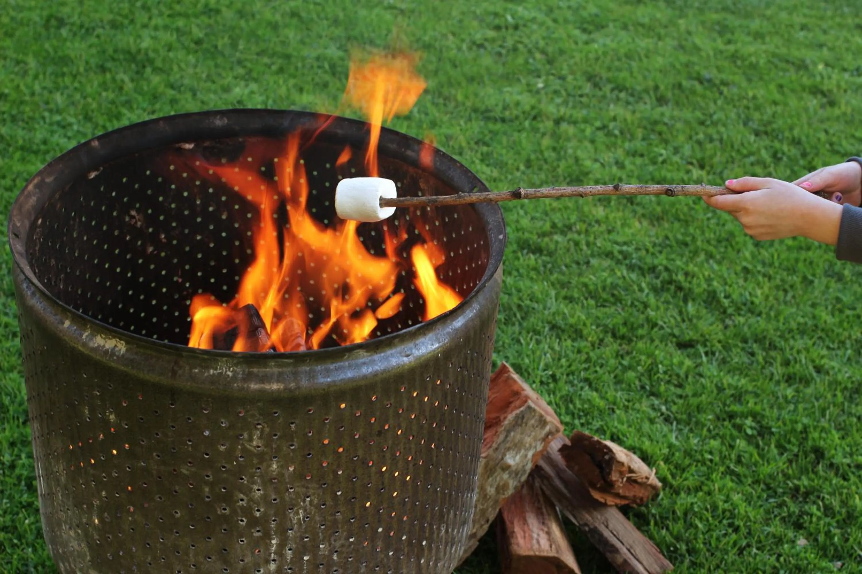 flat iron in Pine Country Caravan Park