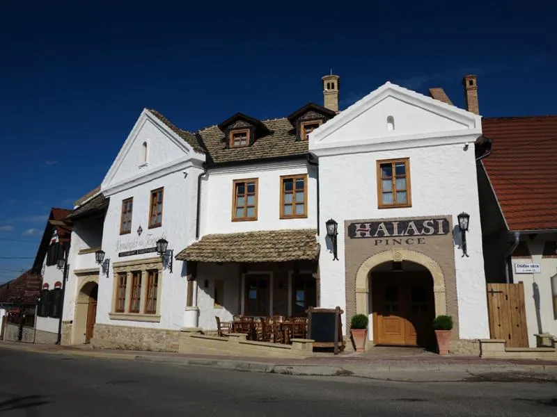 Facade/entrance in Halasi Pince Panzió