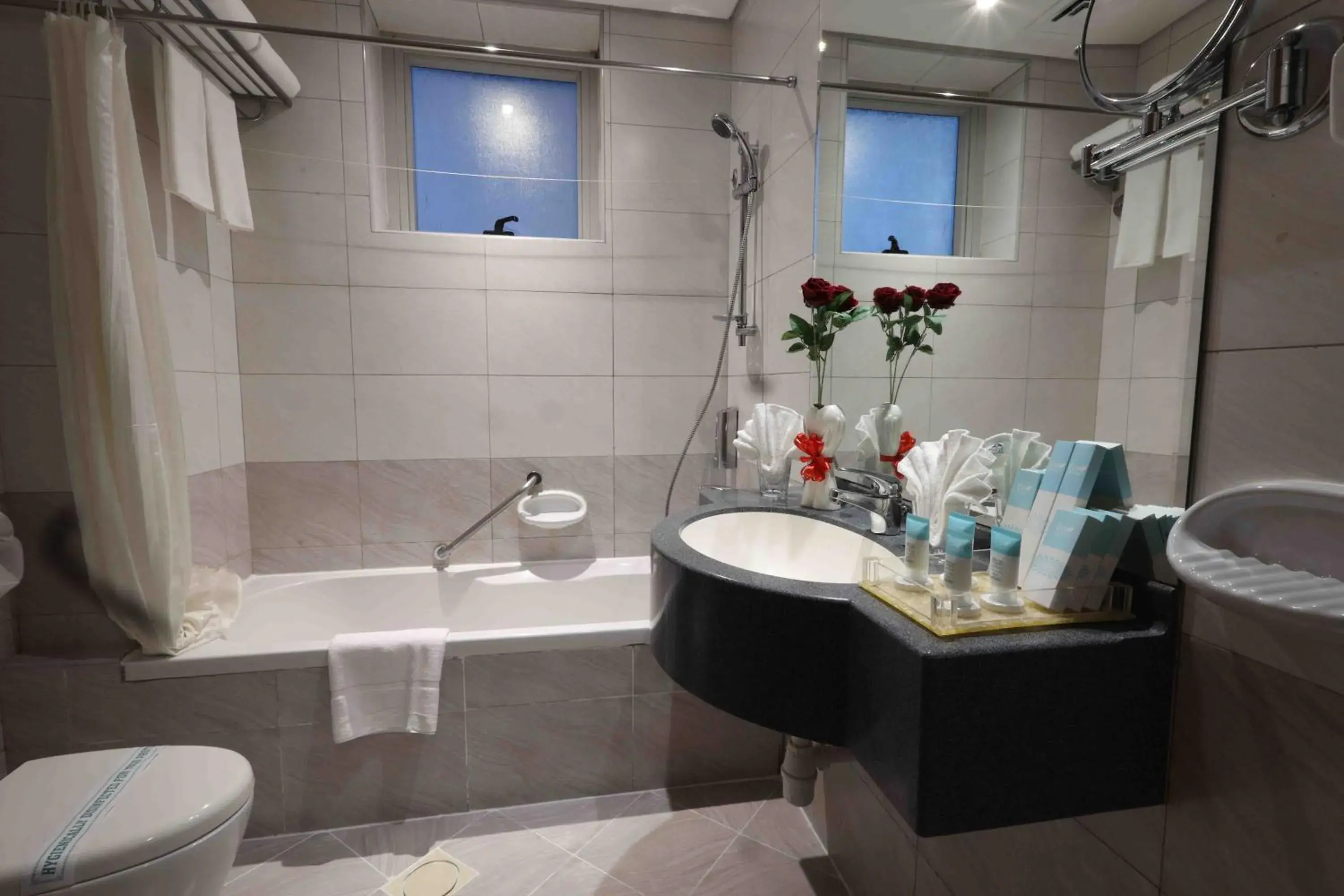 Studio King or Twin in City Tower Hotel Studio King or Twin in City Tower Hotel