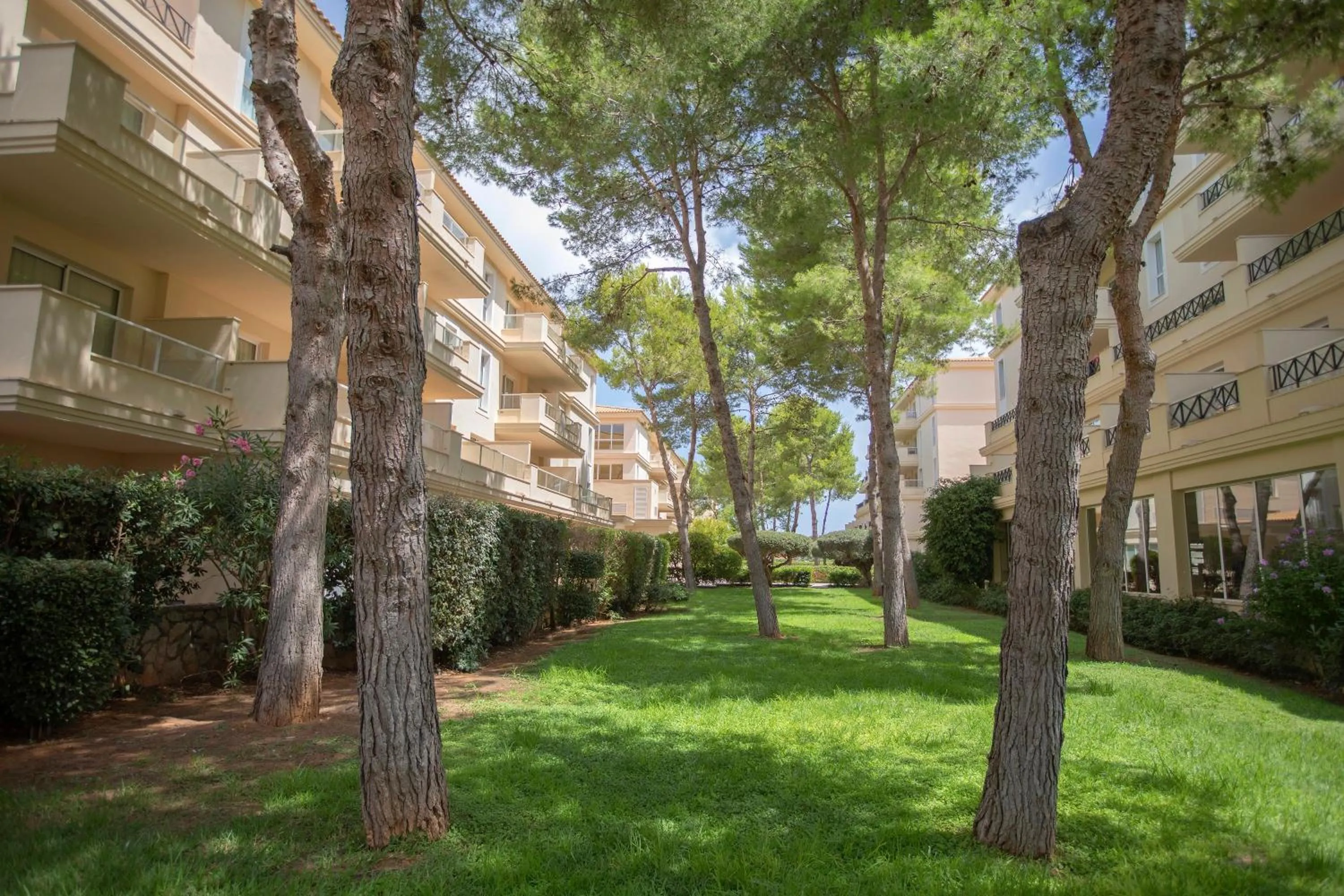 Area and facilities in HM Mar Blau