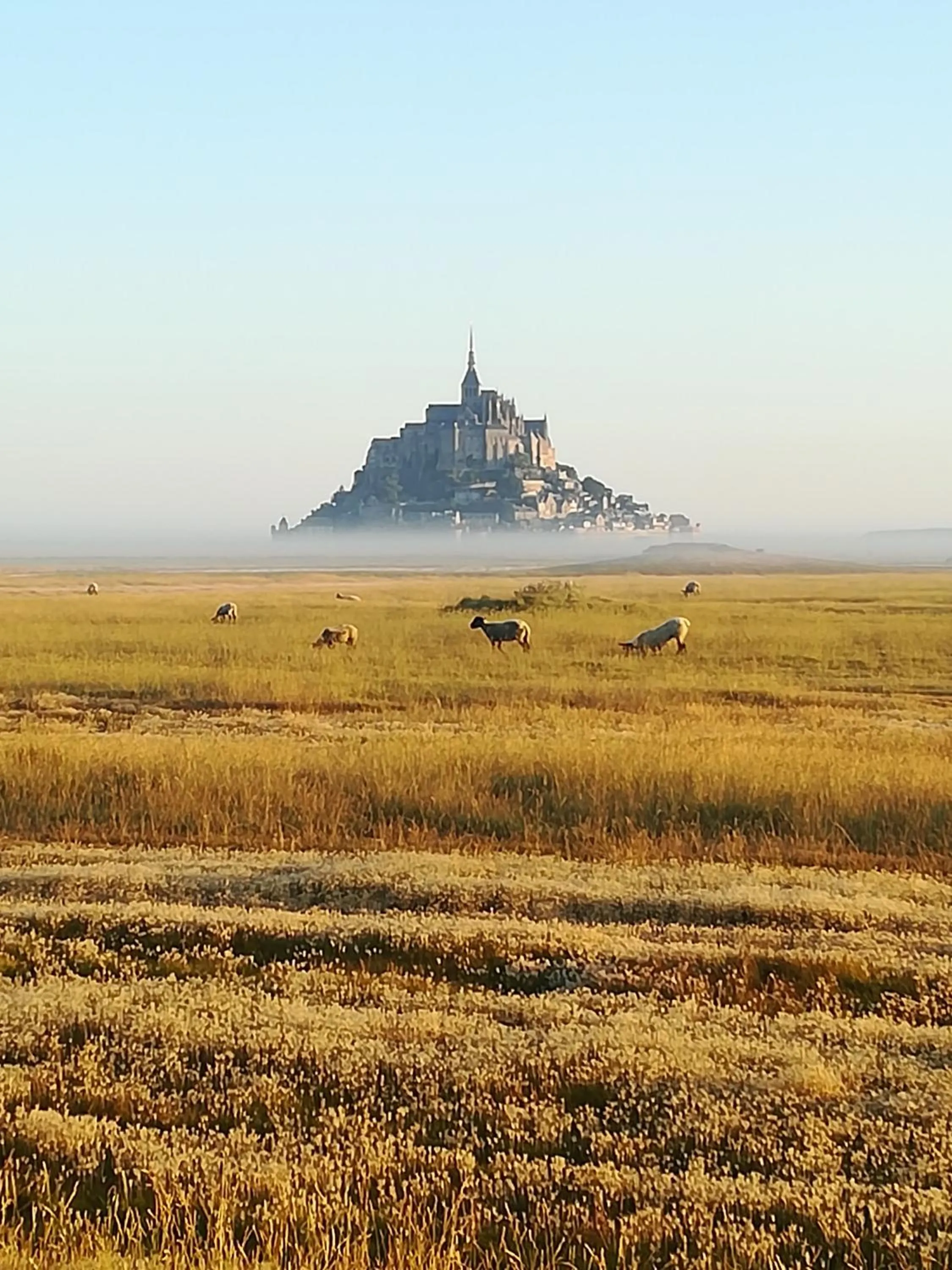 Other in La Fontaine de Resnel