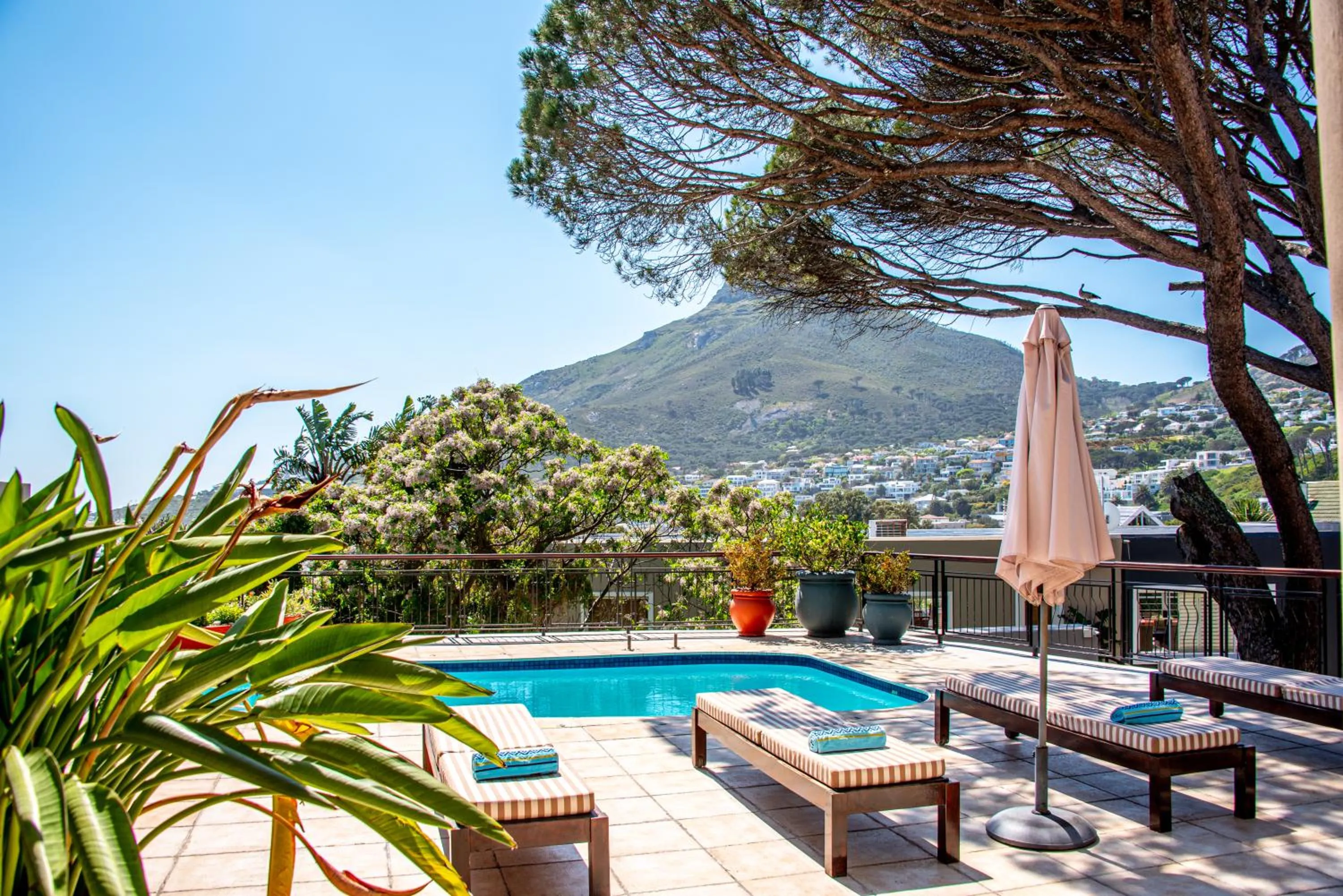 Pool view in Balfour Place Guesthouse