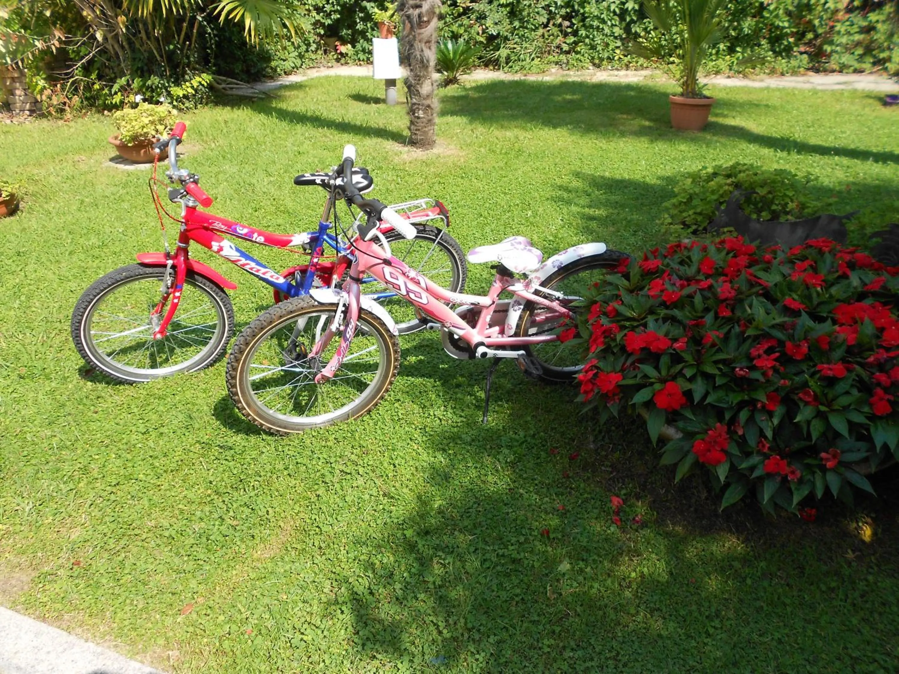 Garden in Hotel Adria