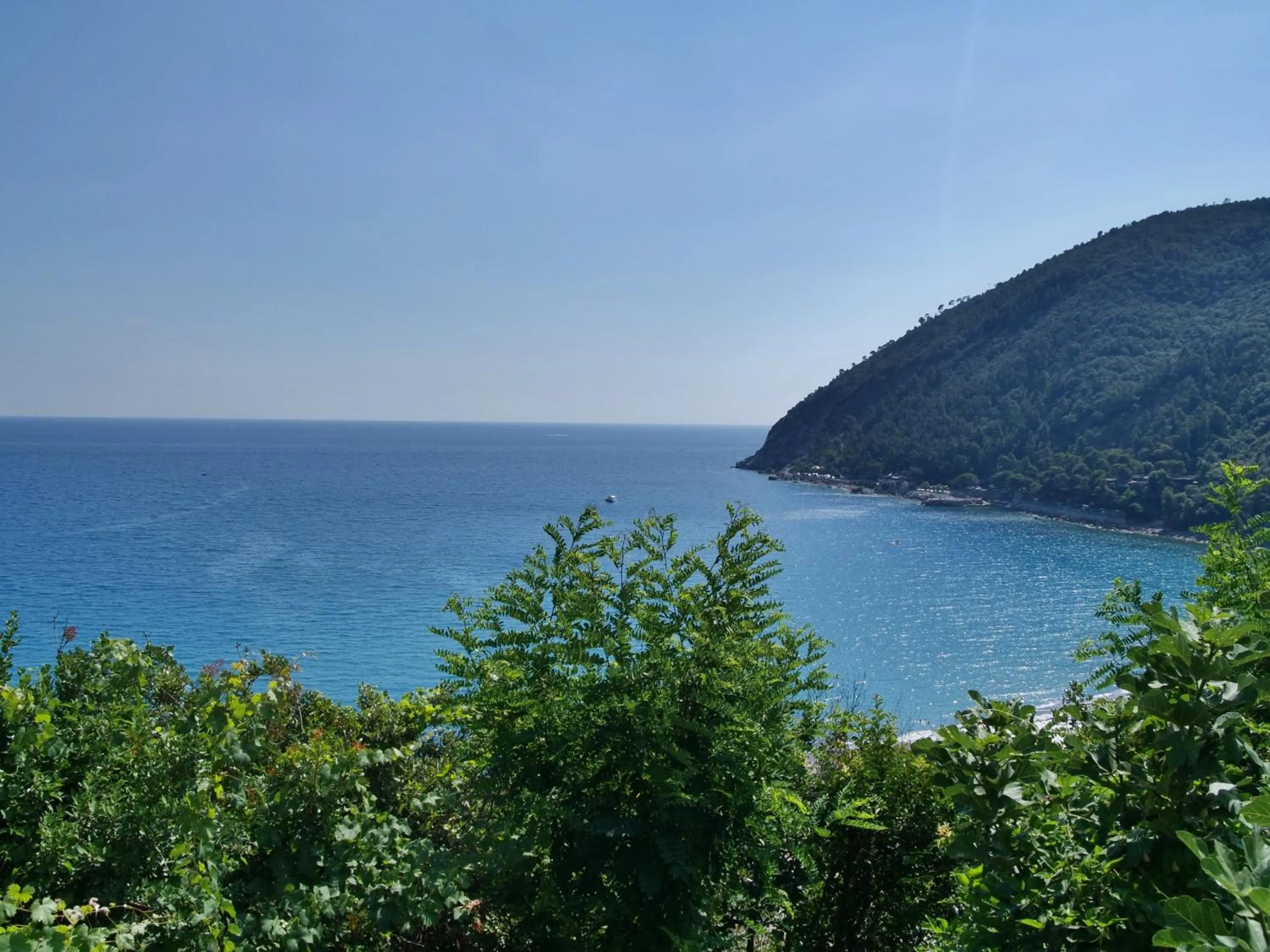 View (from property/room) in Hotel Residence Mondial