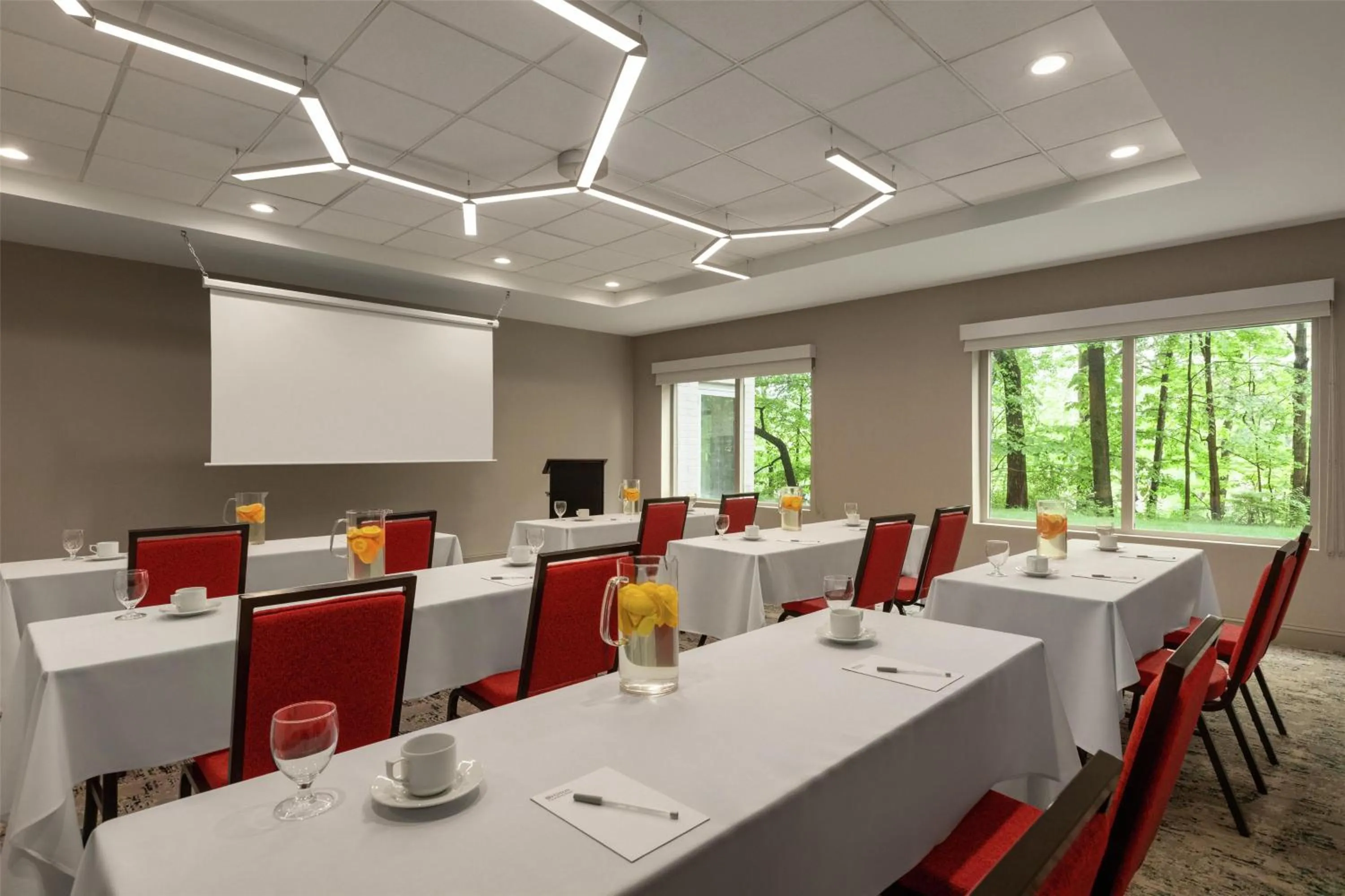 Meeting/conference room in Hilton Garden Inn Cleveland Airport