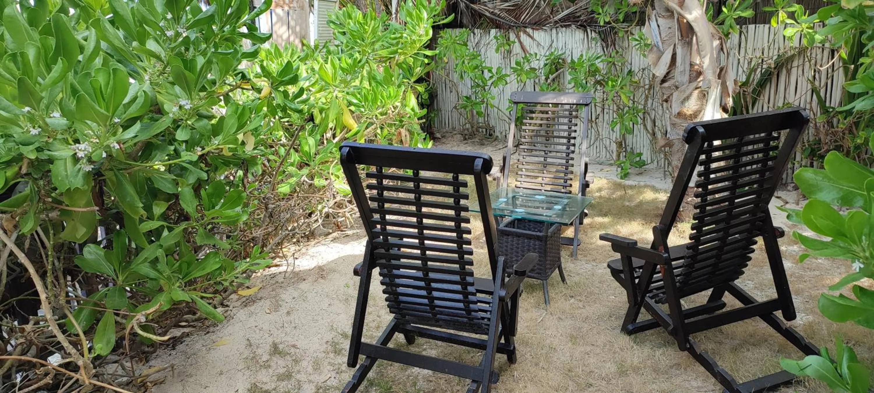 Garden in Villa Las Estrellas Tulum - located at the party zone