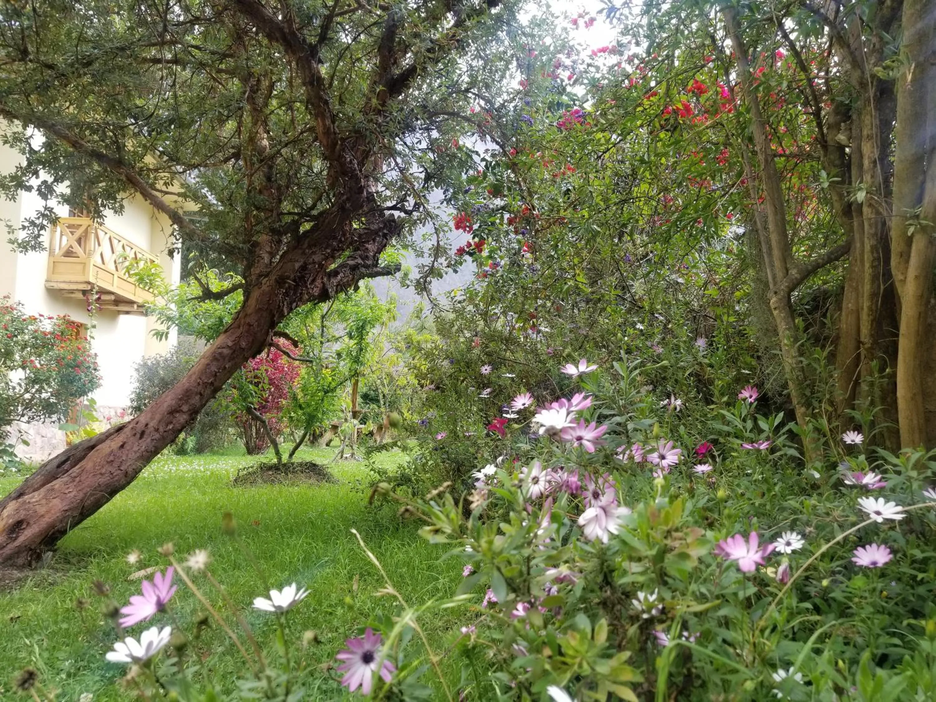 Natural landscape in Apu Lodge