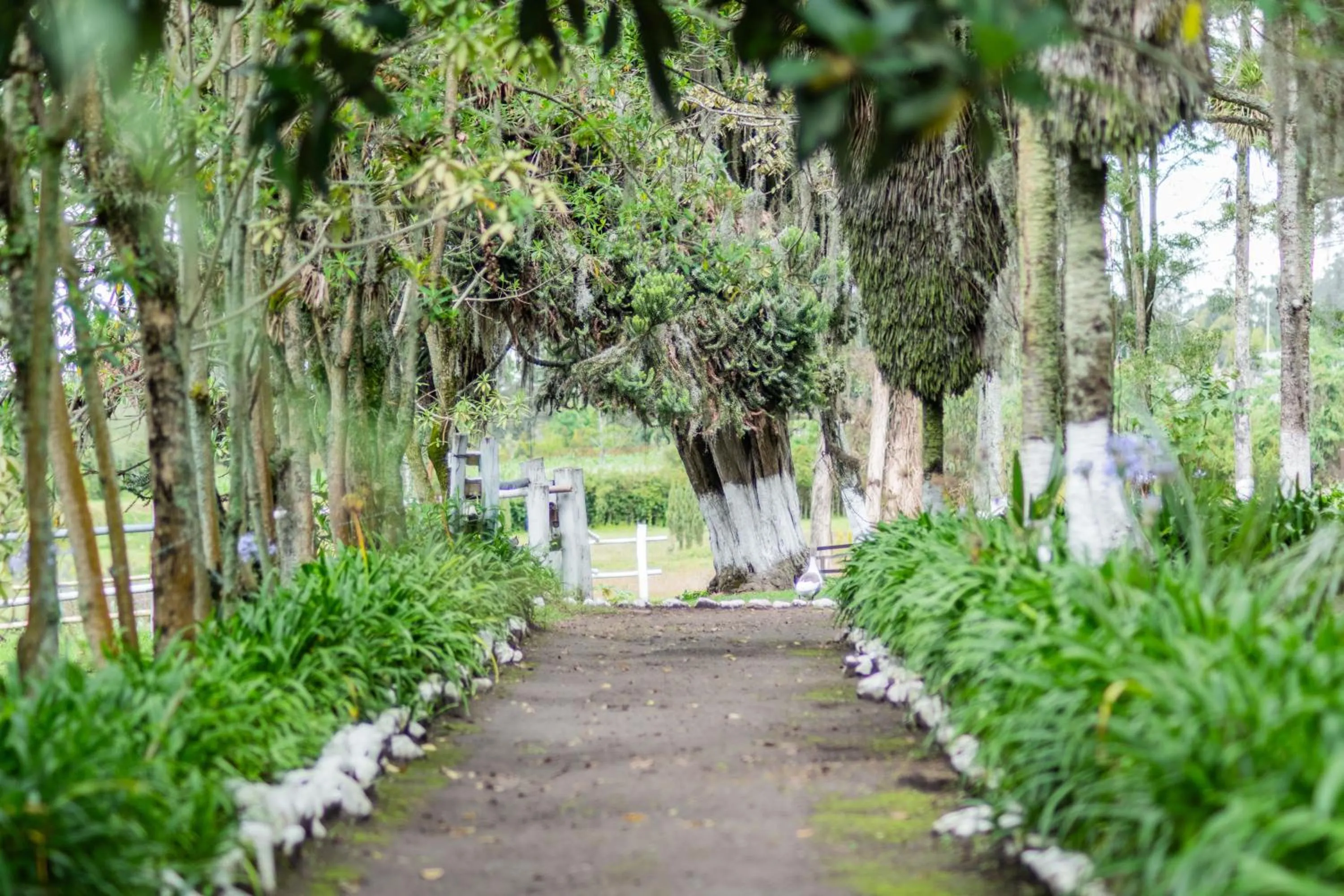 Activities in Hostería Hacienda Pinsaqui