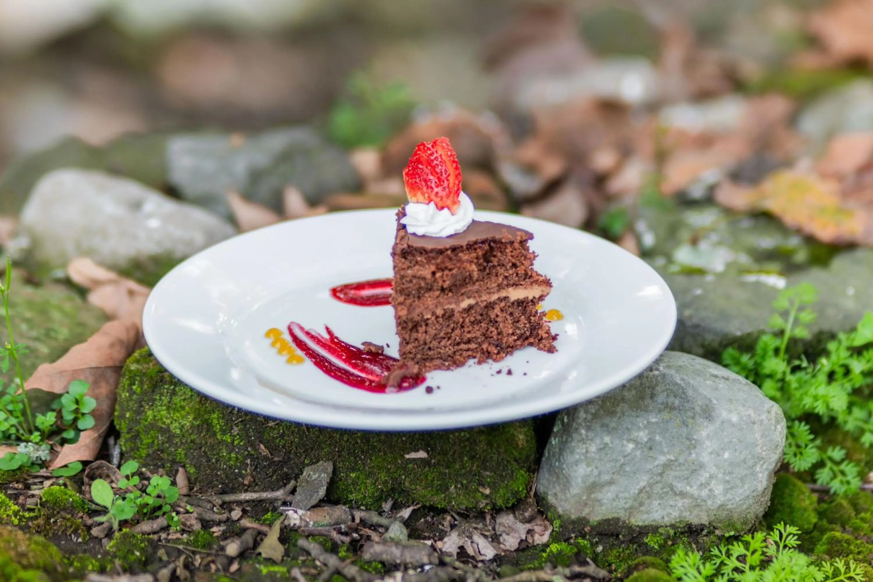 Food close-up in Hostería Hacienda Pinsaqui